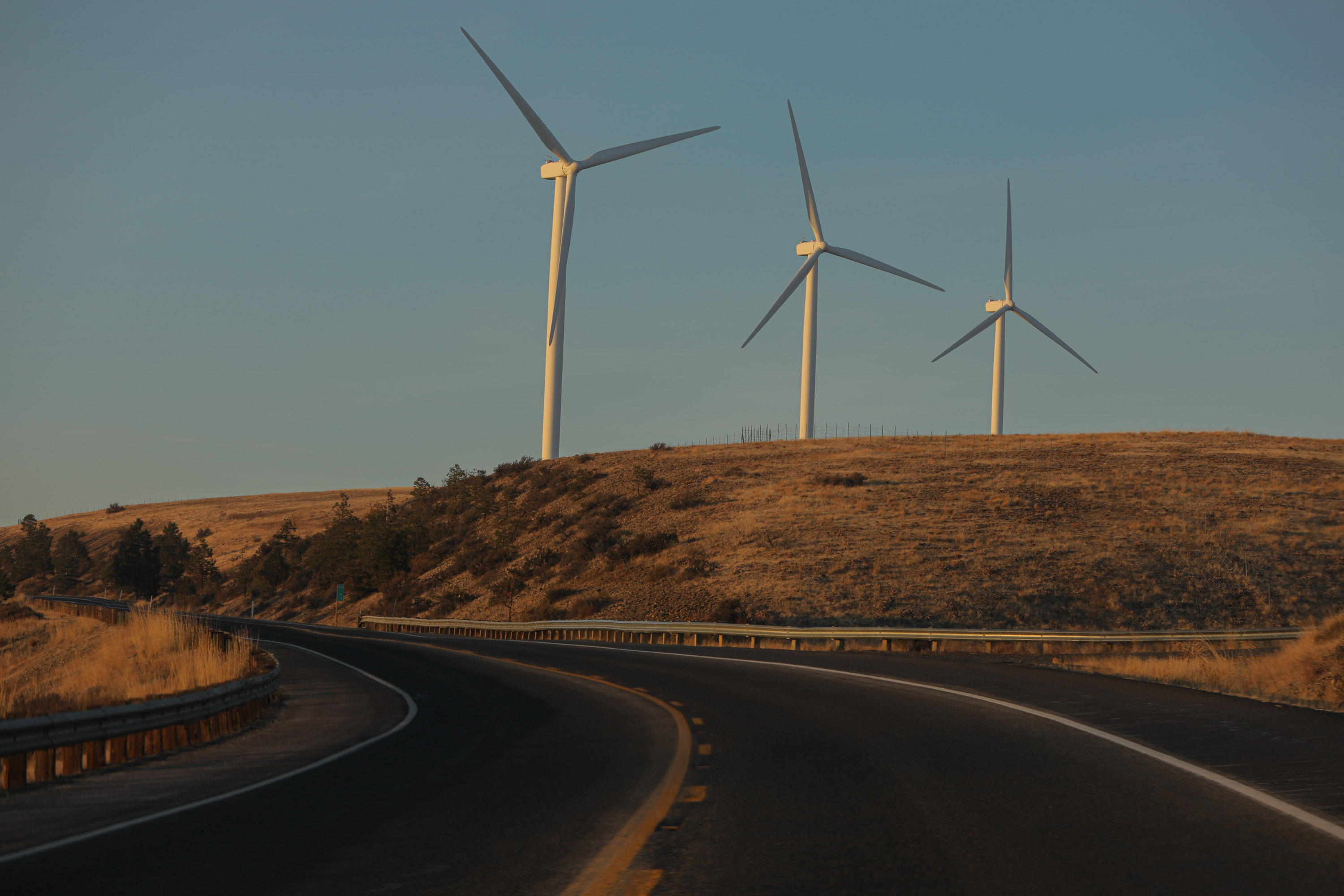 It’s (Still) Not Easy Going Green: Bonus Episode