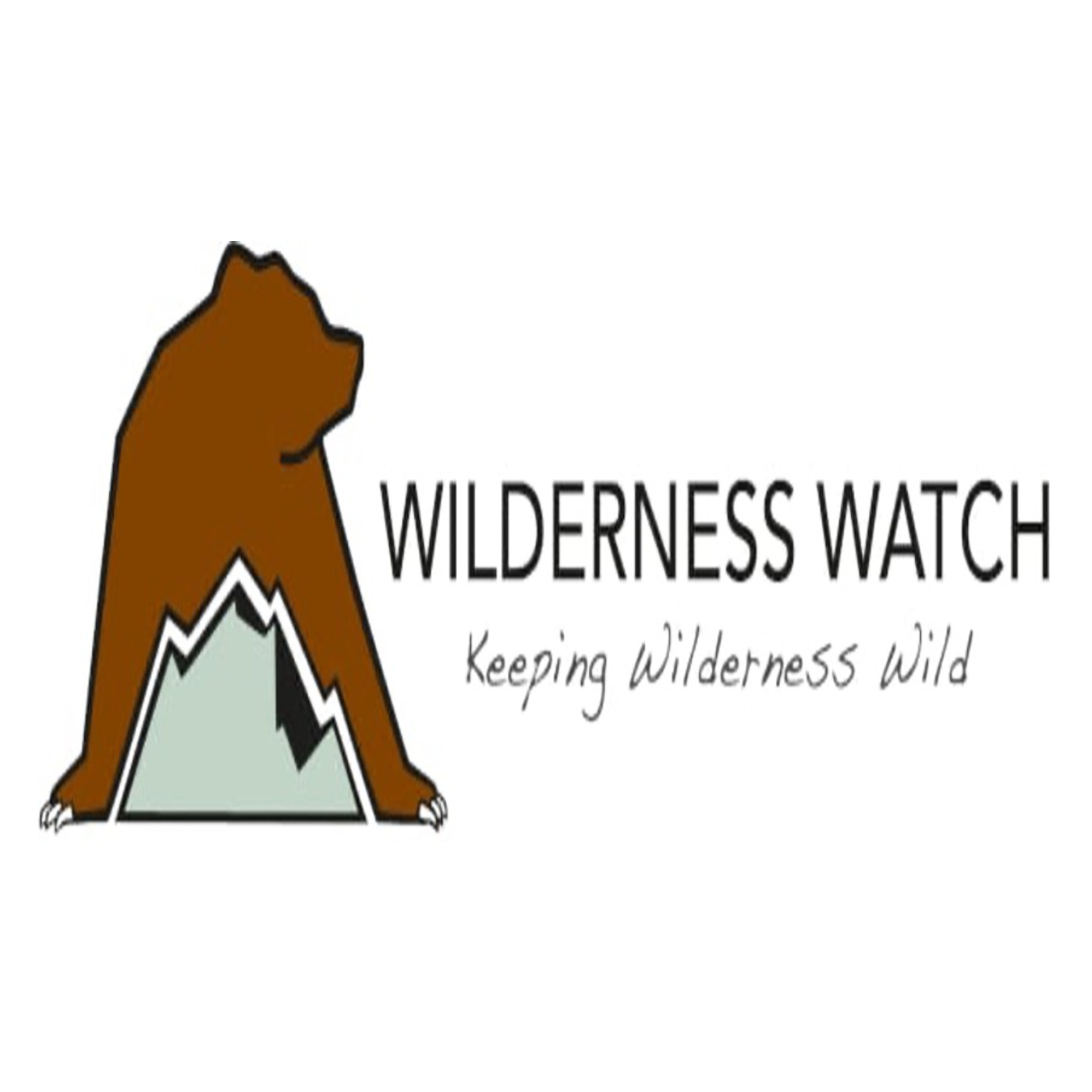 Wilderness Act Demystified episode artwork