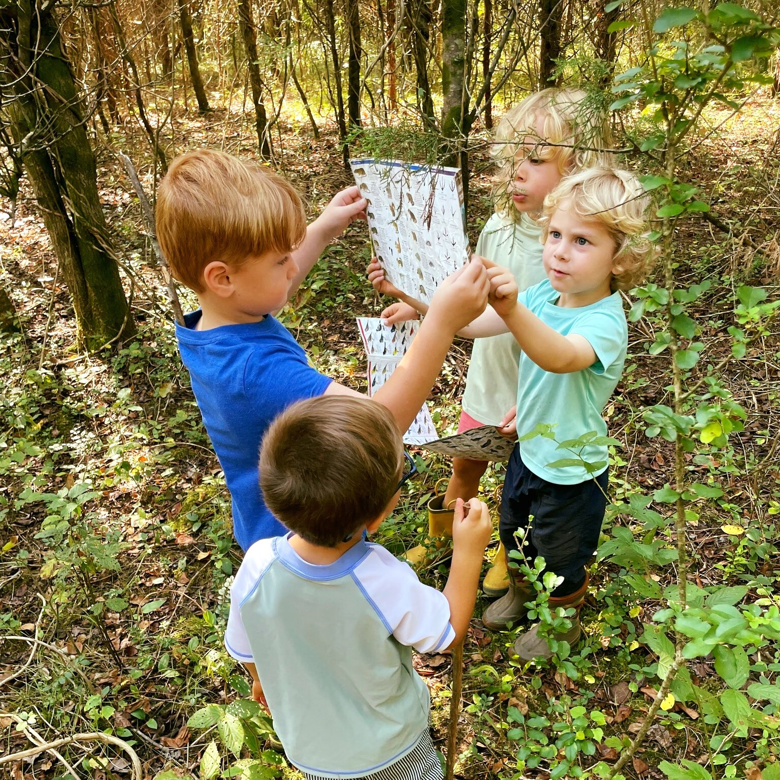 Learning In The Outdoors: Educators Of The Wauhatchie School episode artwork