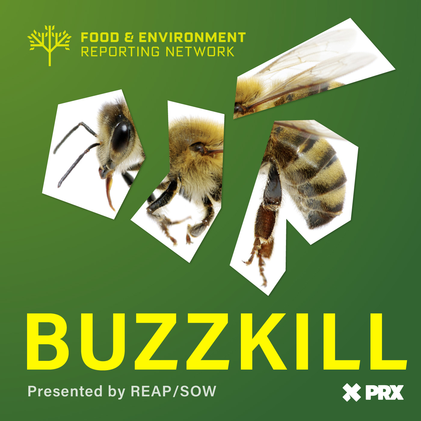Buzzkill, presented by REAP/SOW
