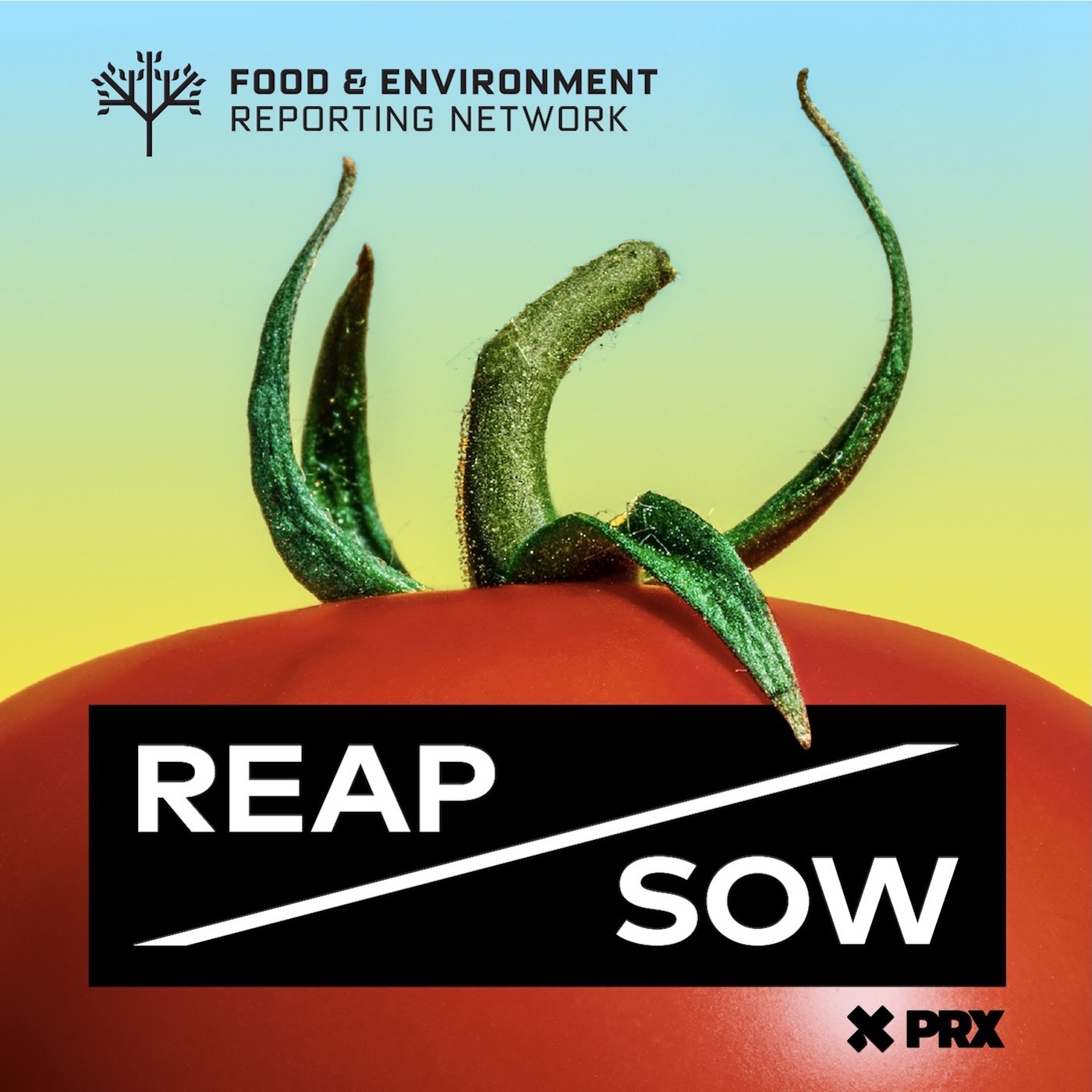 REAP/SOW