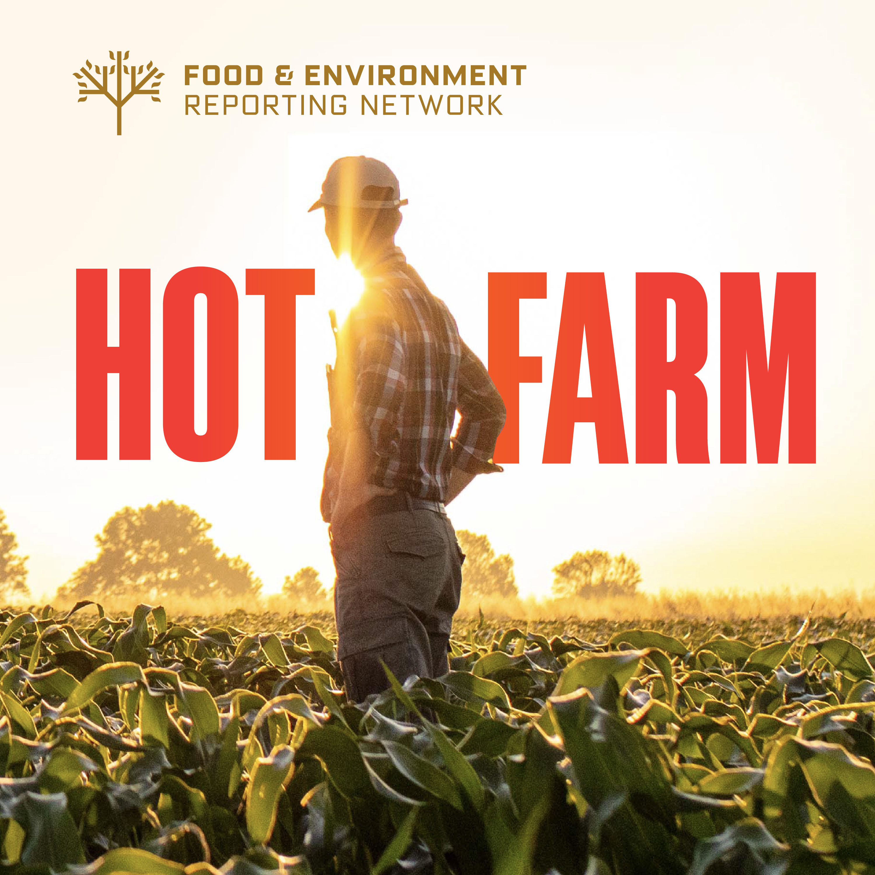 Hot Farm Part 4. The New California