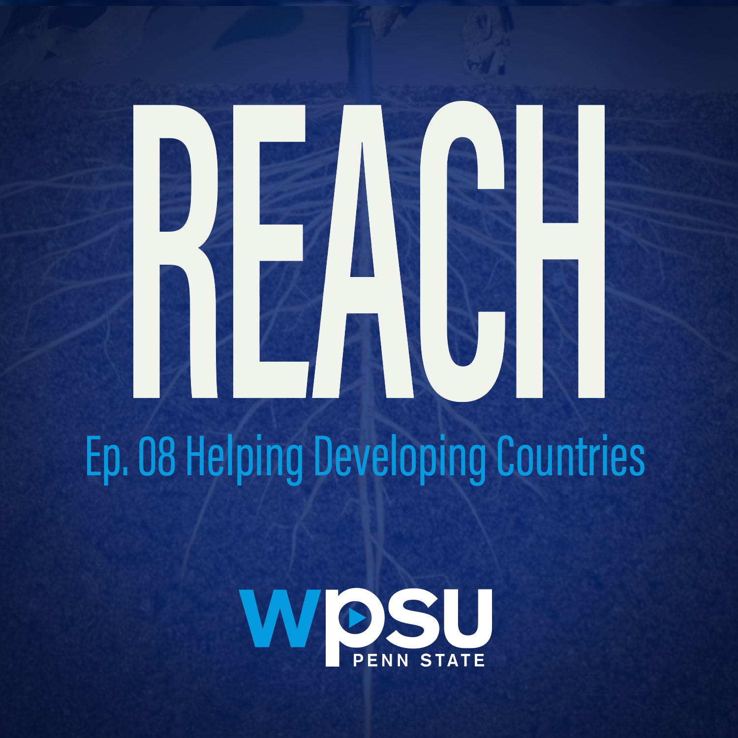Helping Developing Countries
