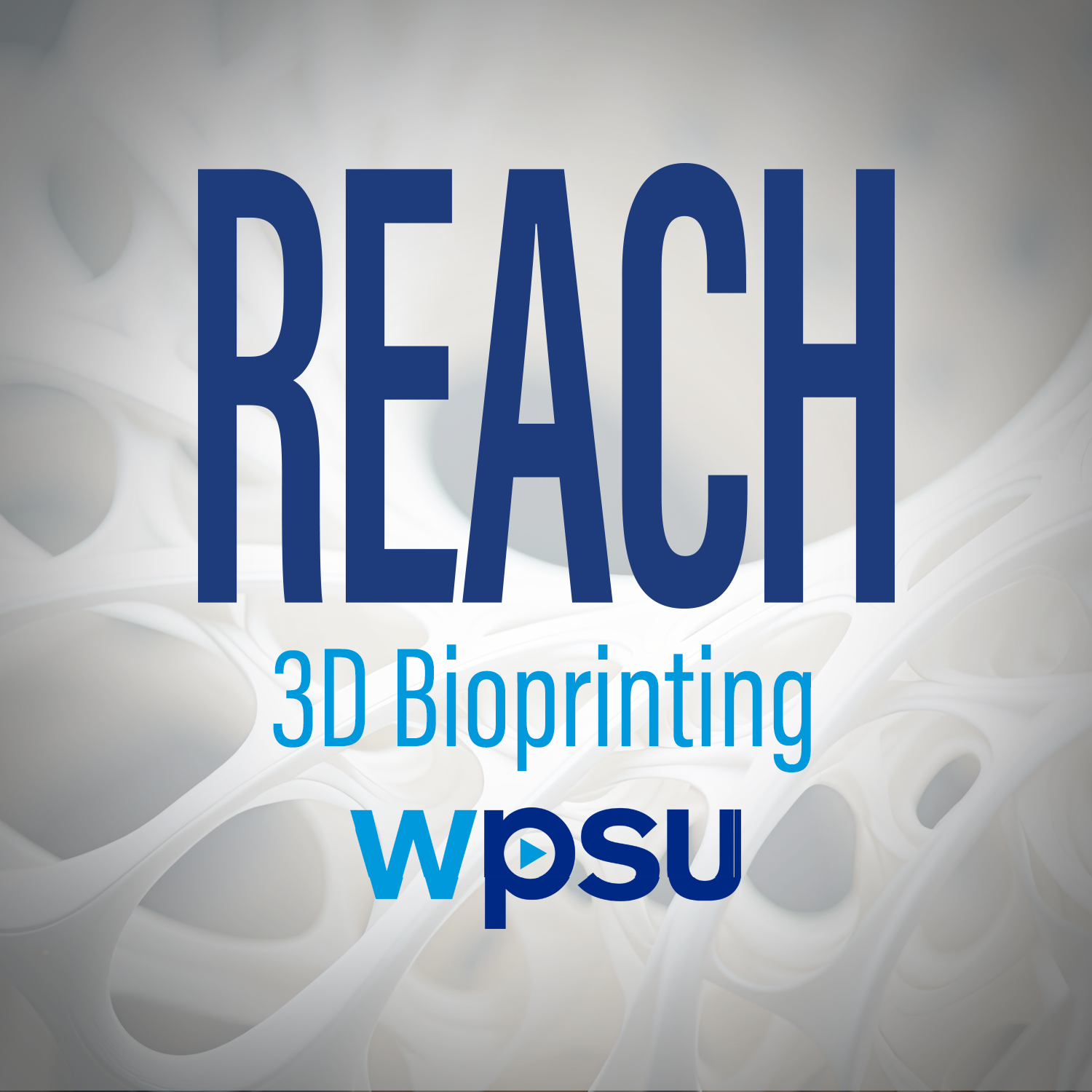 3D Bioprinting