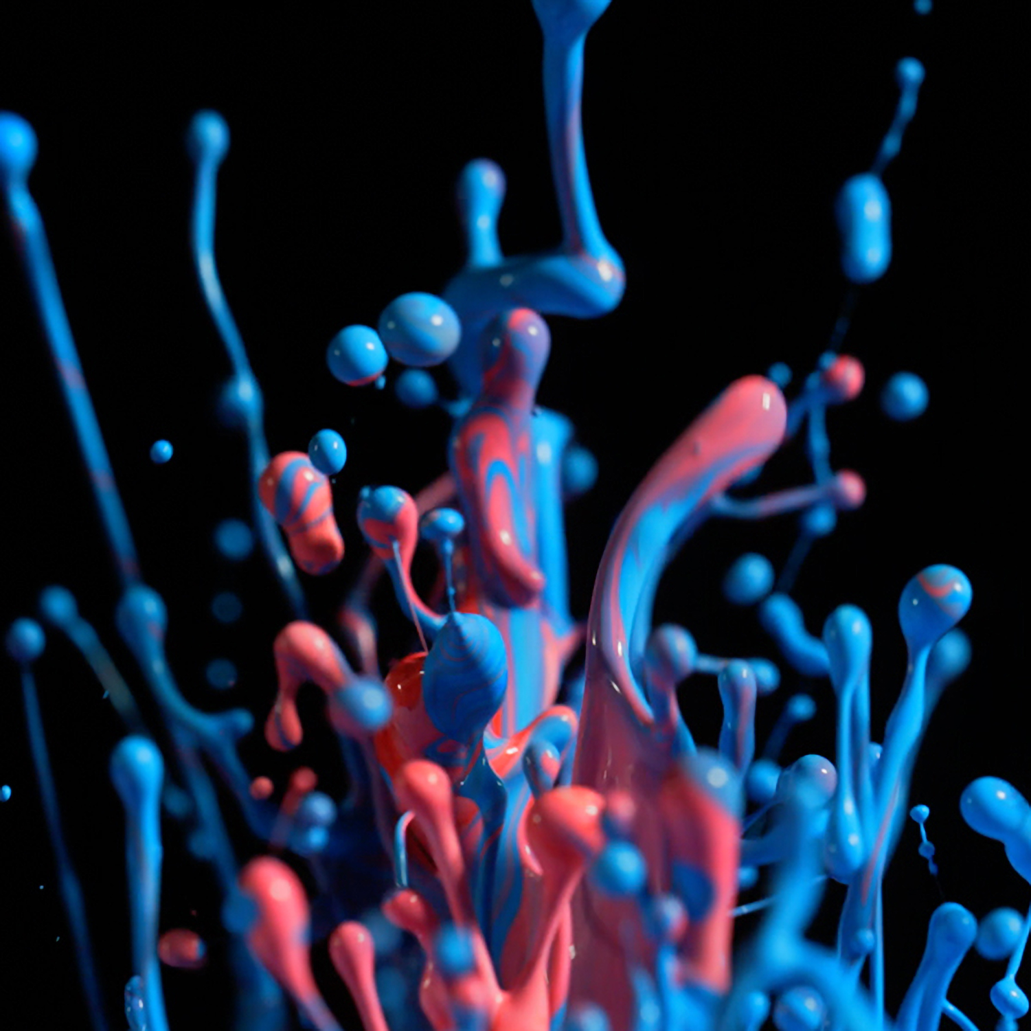 What Makes a Fluid a Fluid?