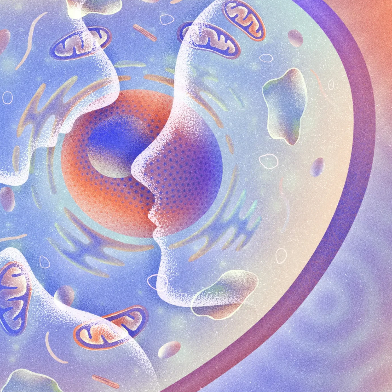 What Can a Cell Remember?