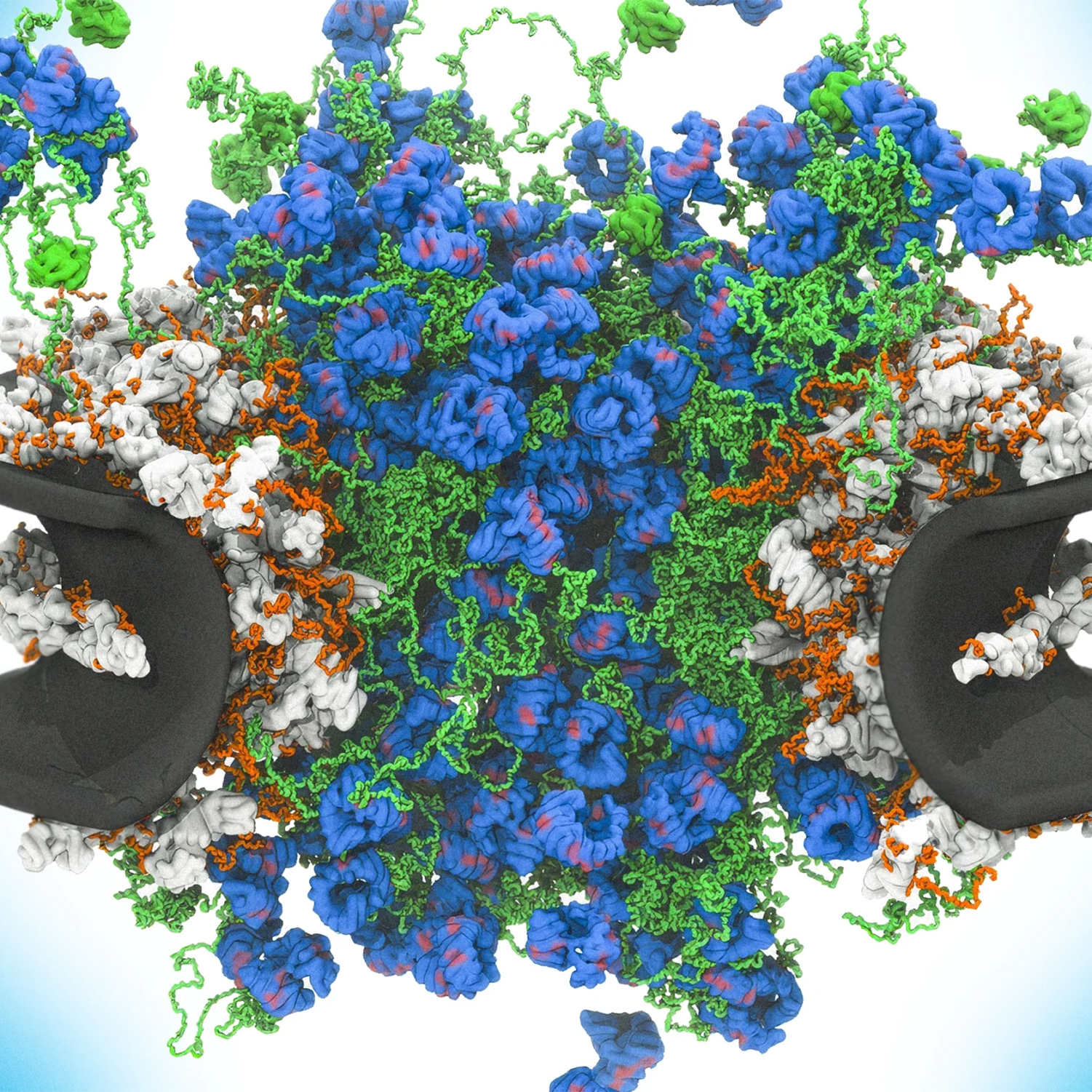 One of Nature’s Most Complex Molecular Machines