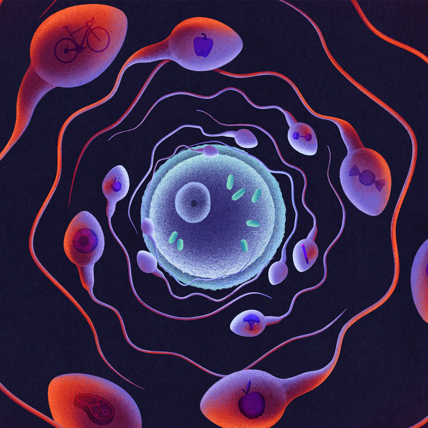 Does Dad's Fitness Make Its Way Into Sperm?