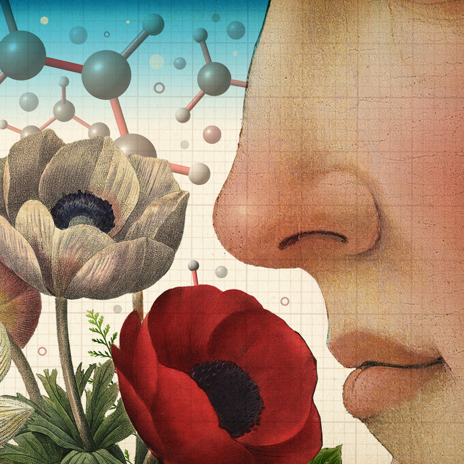 How Smell Guides Our Inner World