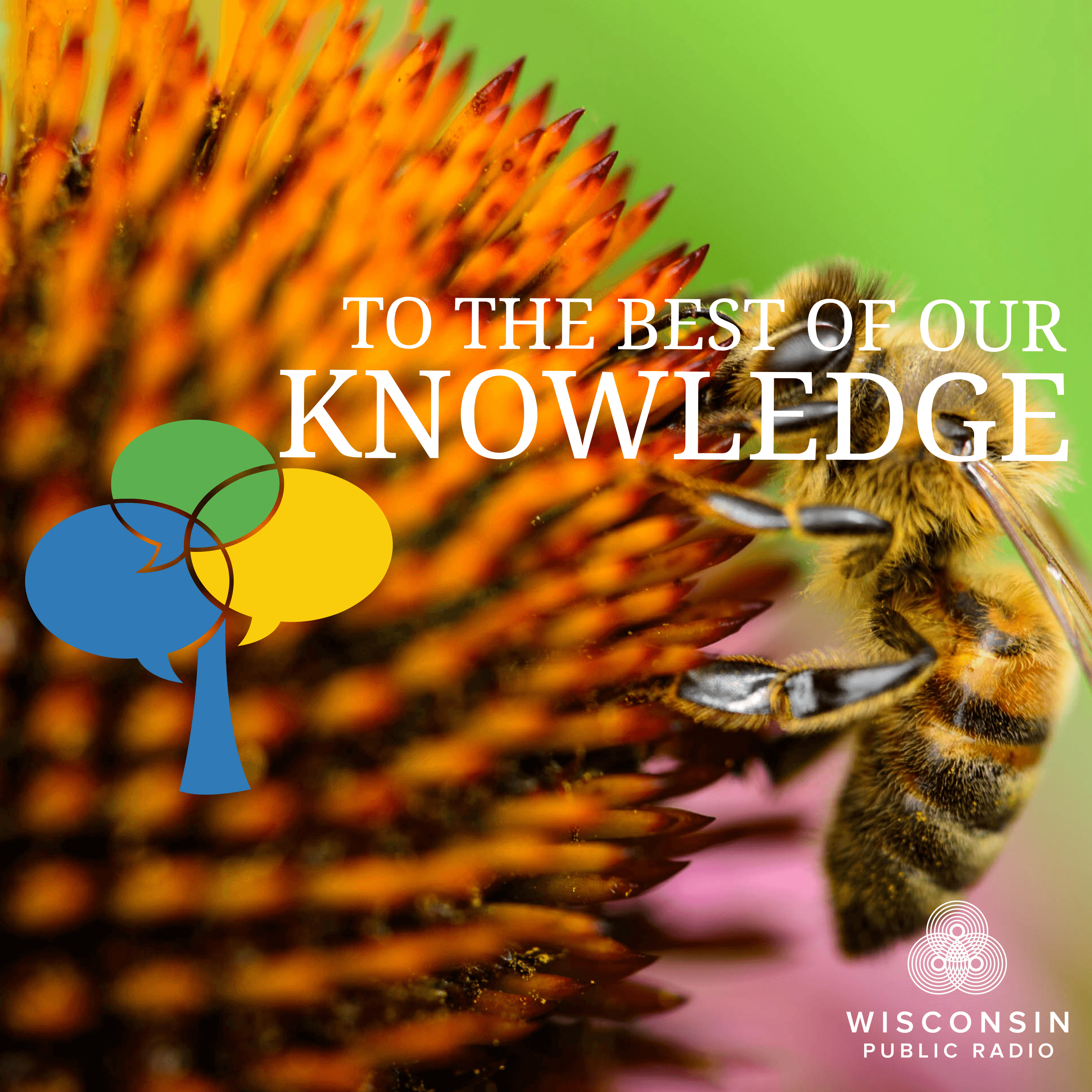 To The Best Of Our Knowledge