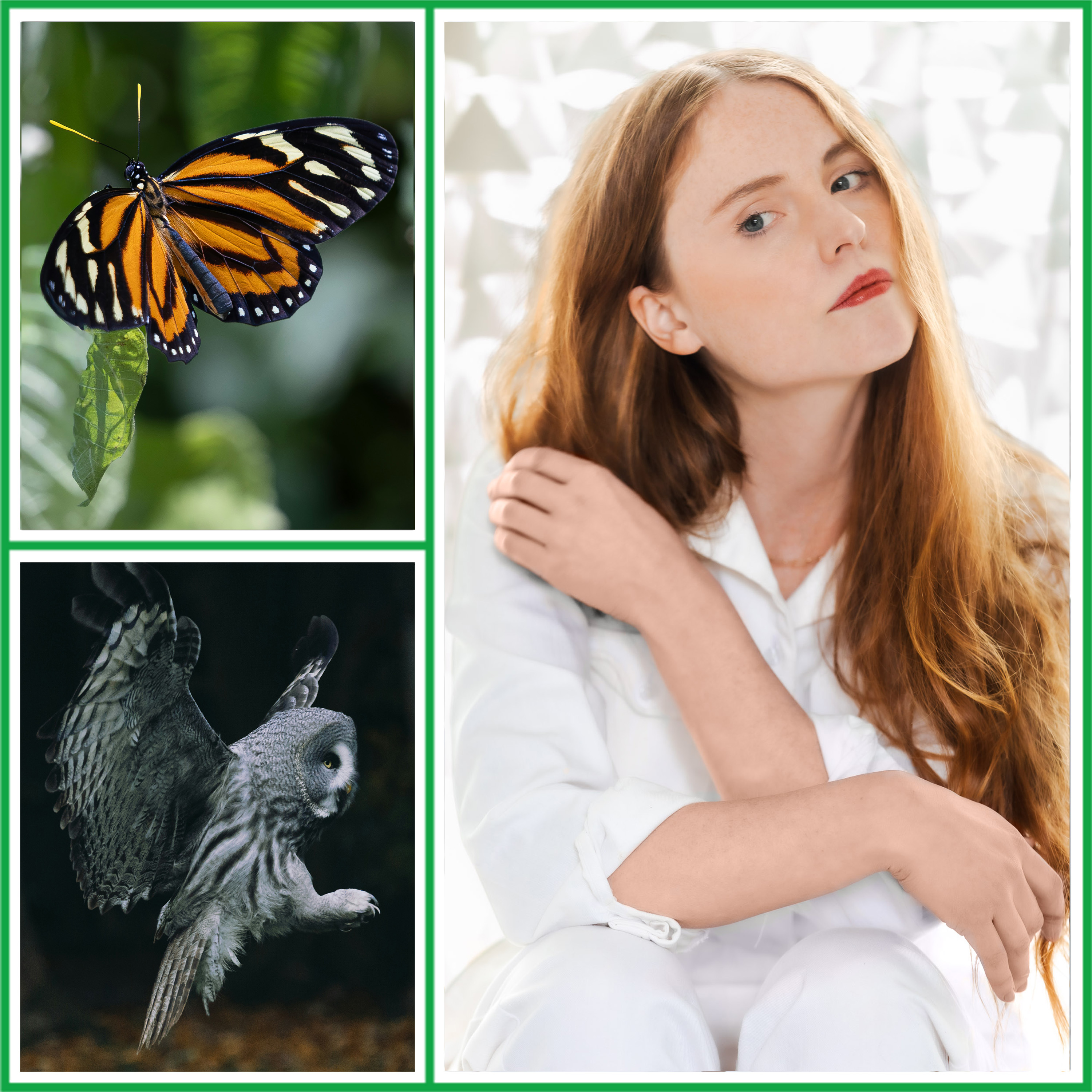 Sophie Strand: Ecological Storytelling and Mythic Imagination