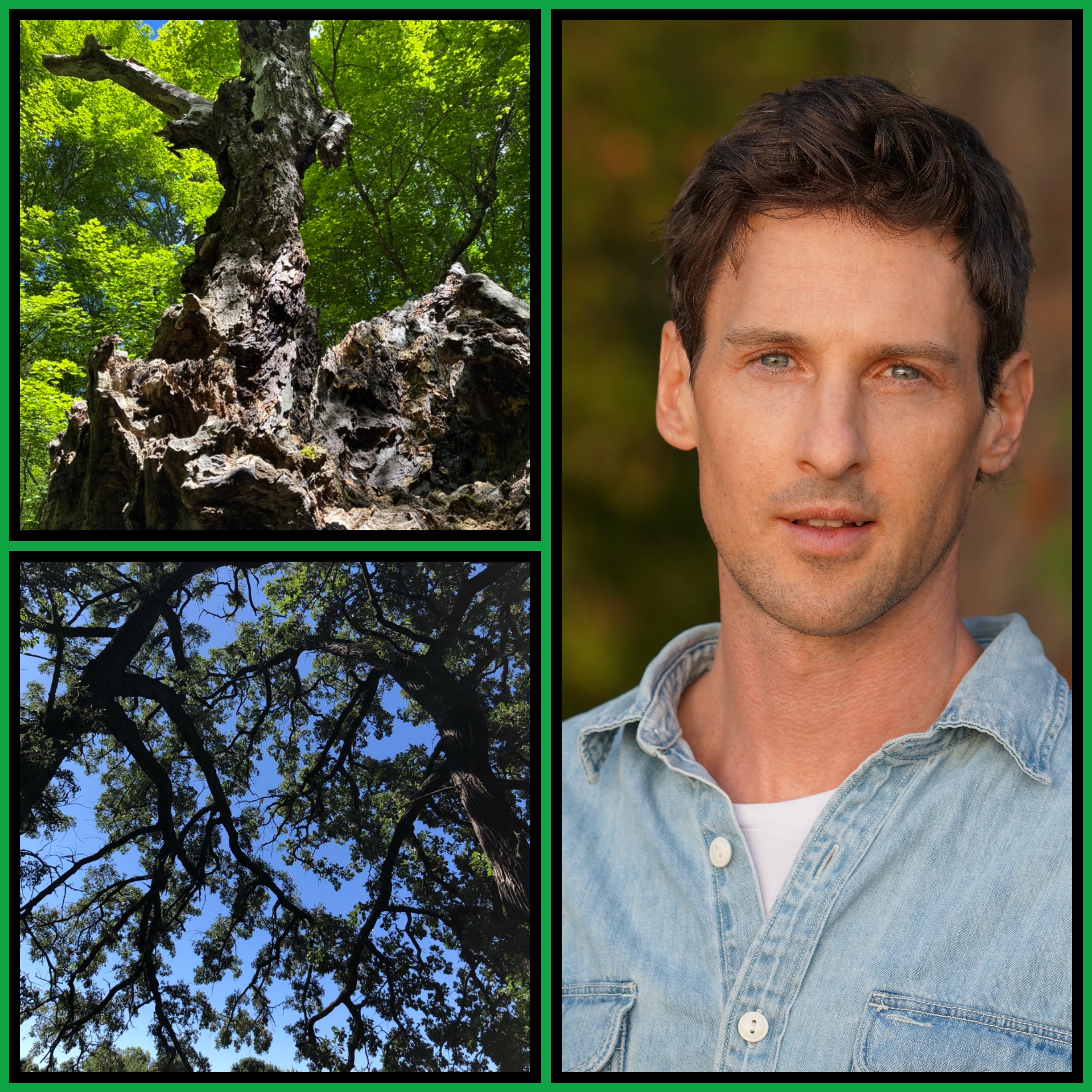 Tree Thinking with Robert Moor episode artwork