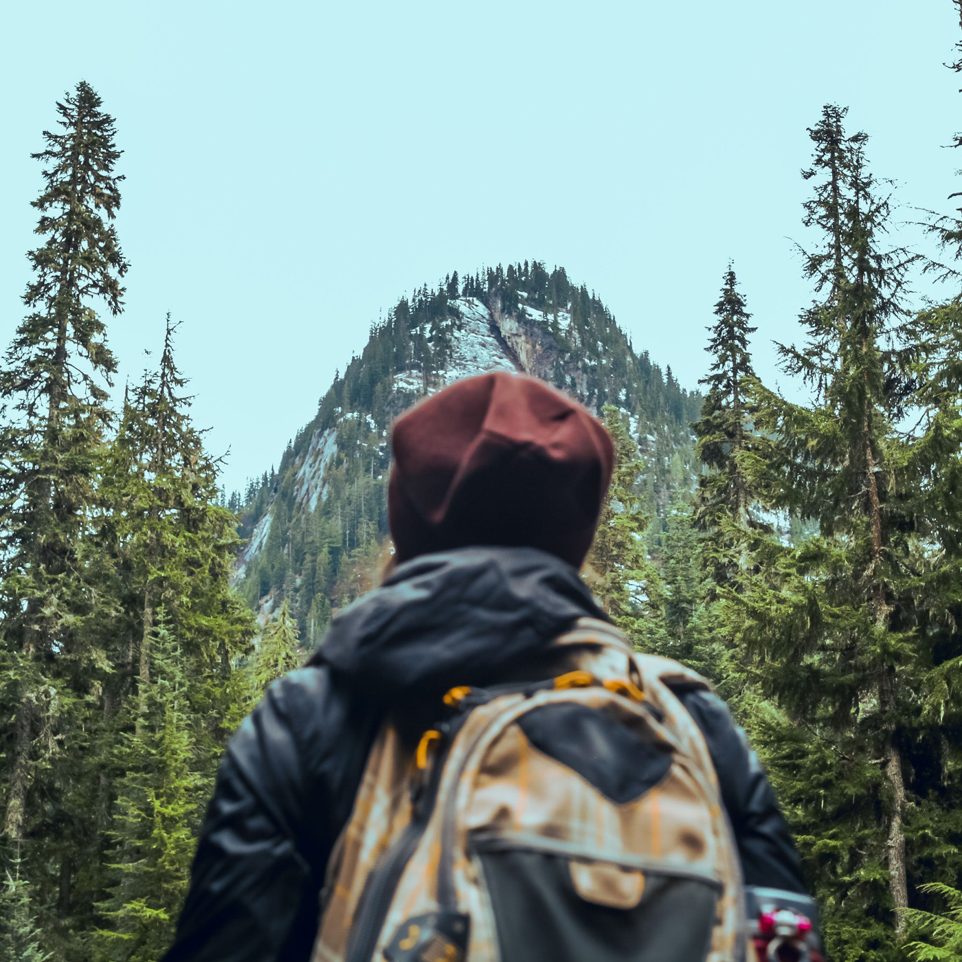 The Search for Wilderness