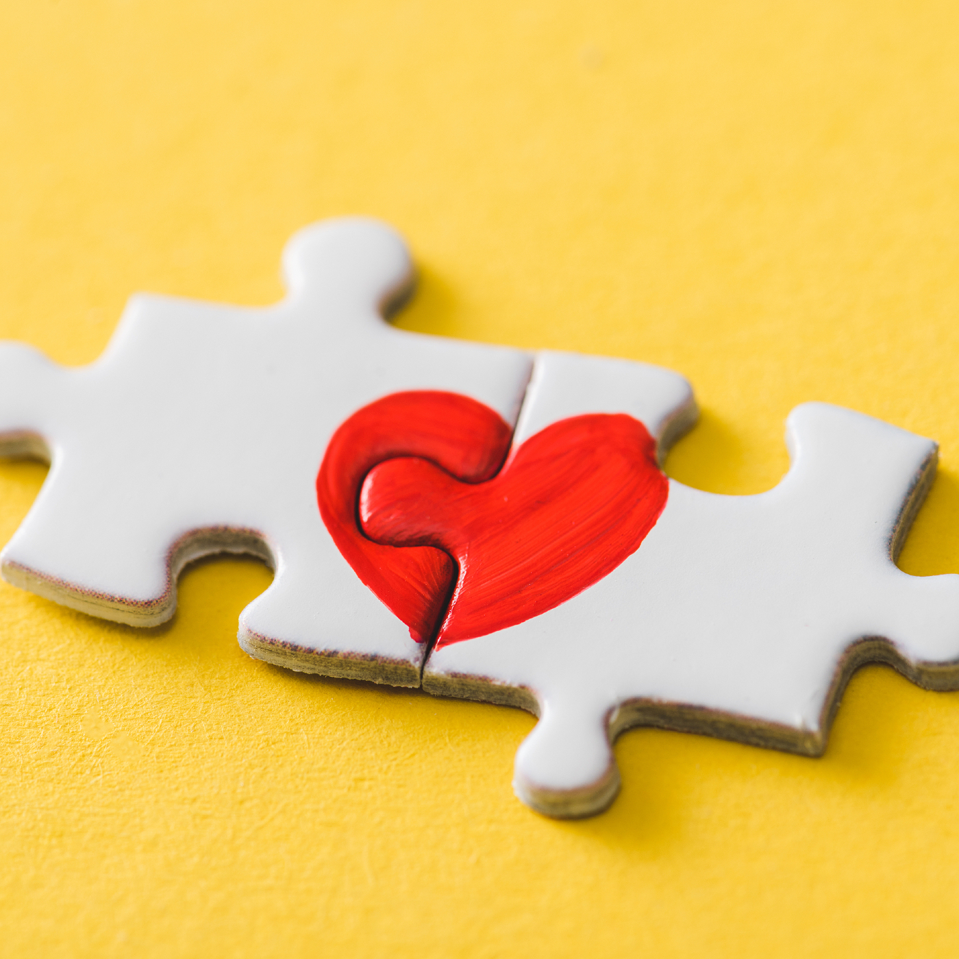 Finding Your Match: The Science of Love and Attraction