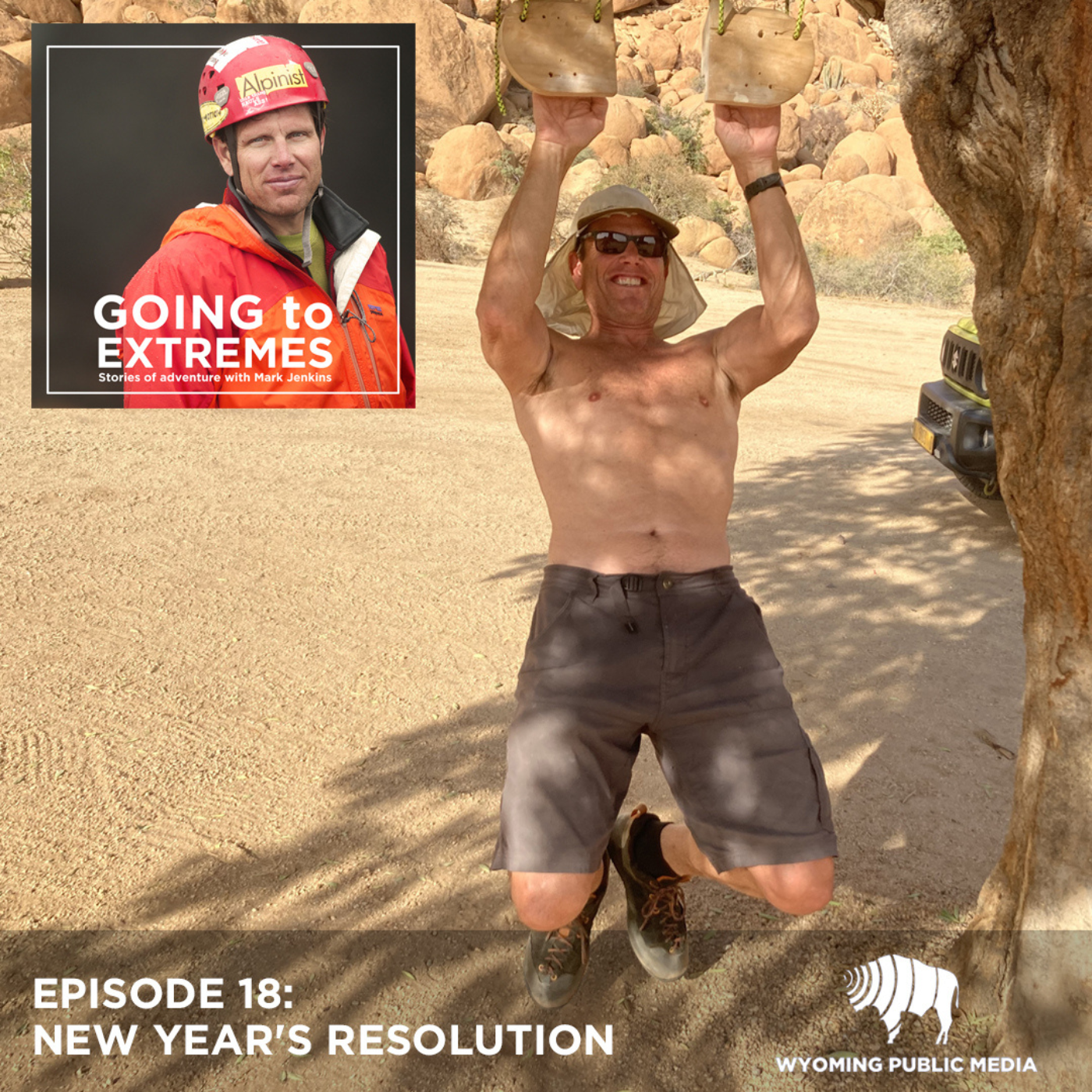 New Year's Resolution episode artwork