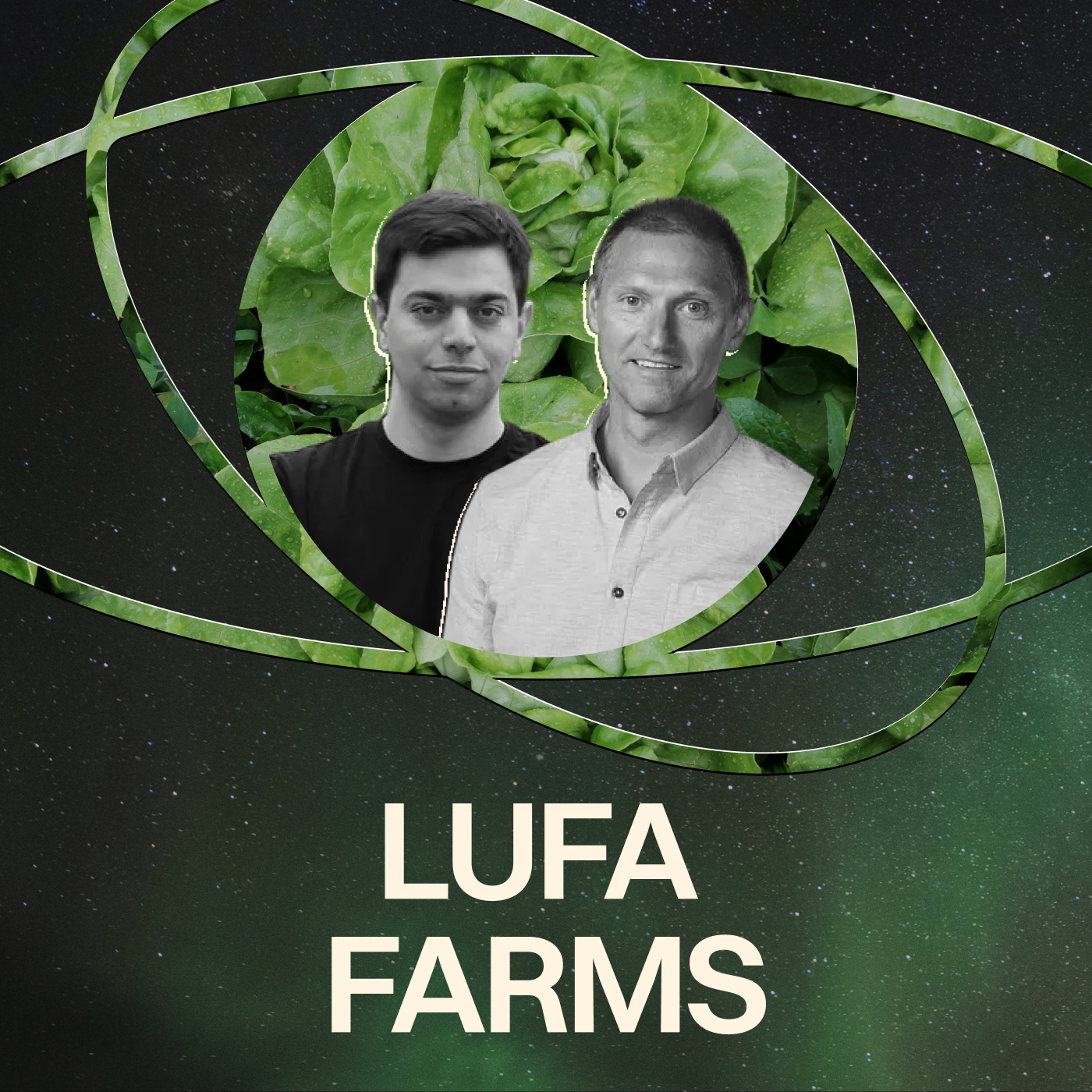 Lufa Farms: How to Grow Food on Top of a City