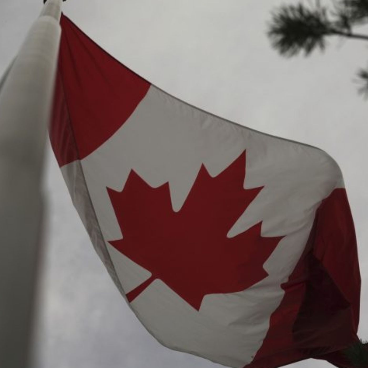 5% of Canadians now choose euthanasia