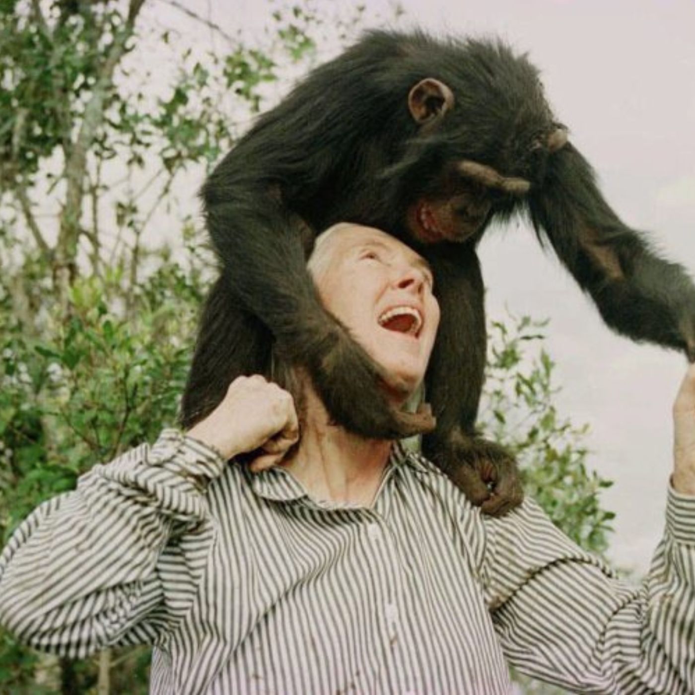 Jane Goodall in her own words