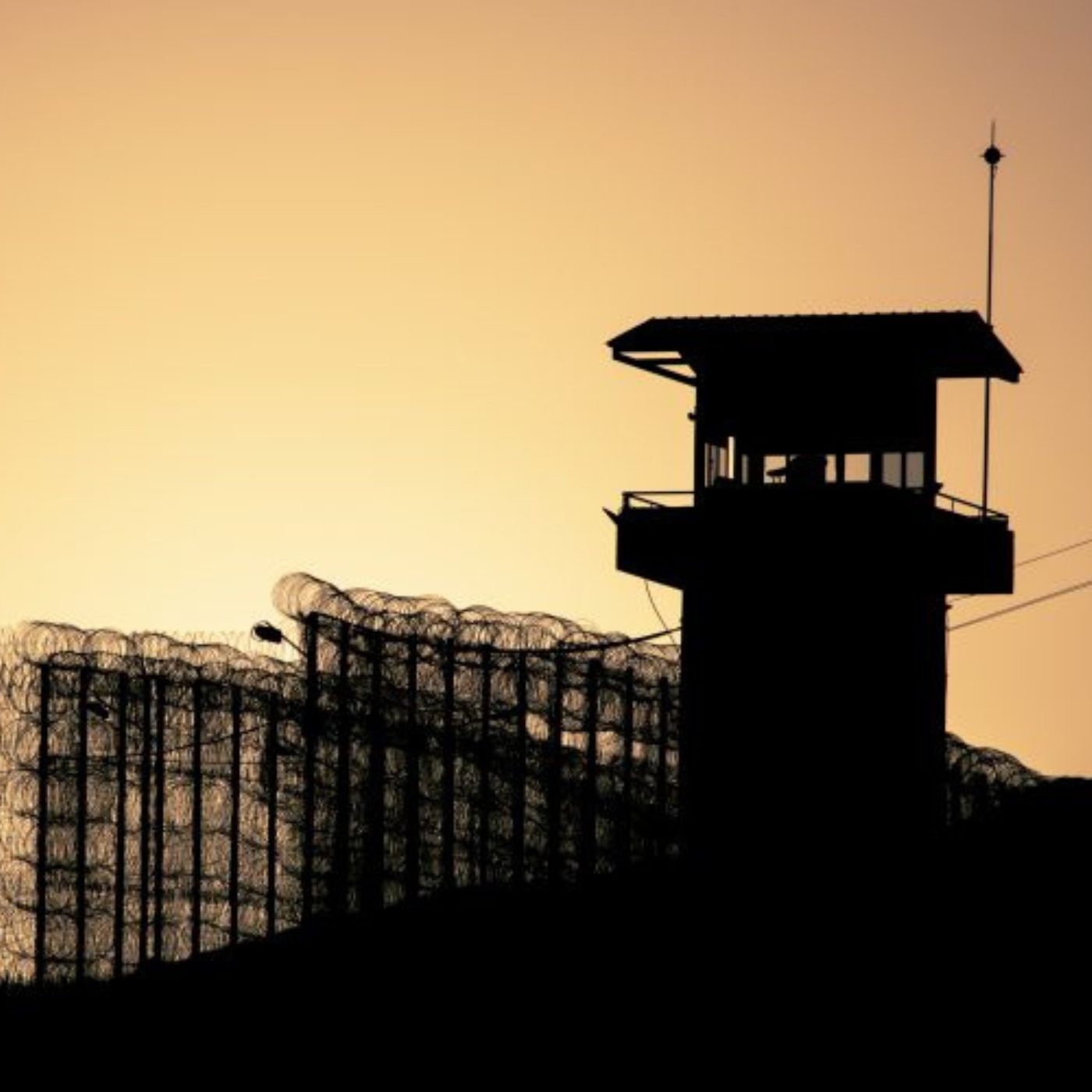 John Grisham takes on wrongful convictions