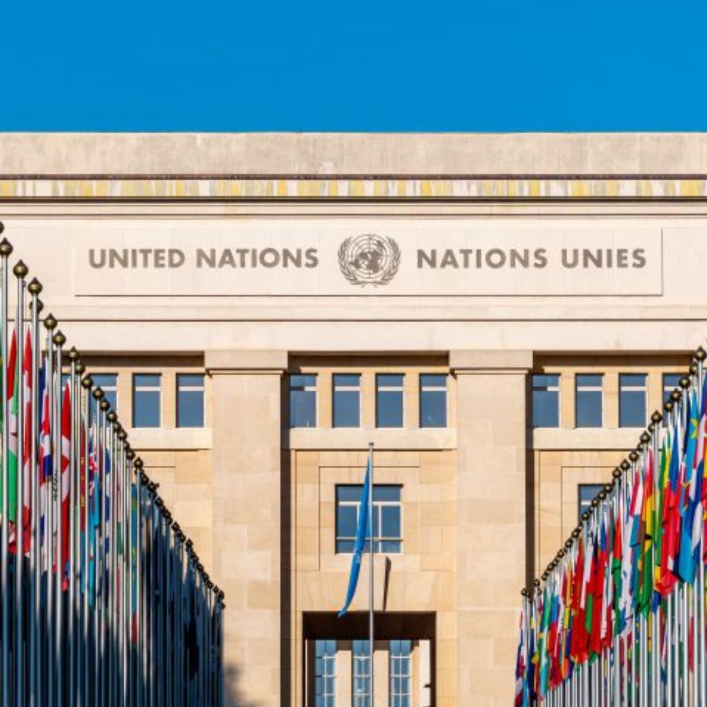 The U.N. Charter used to prevent war