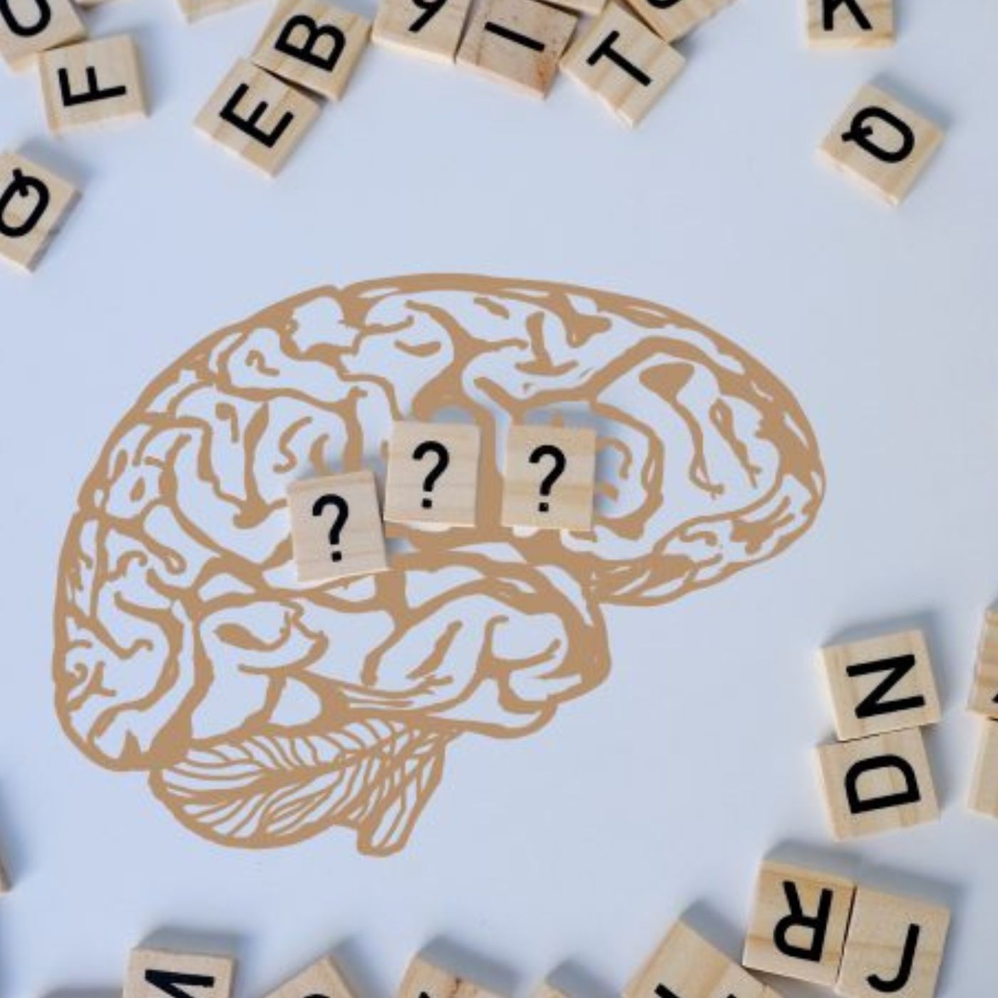 Best of Think '25: The joy of being a word nerd