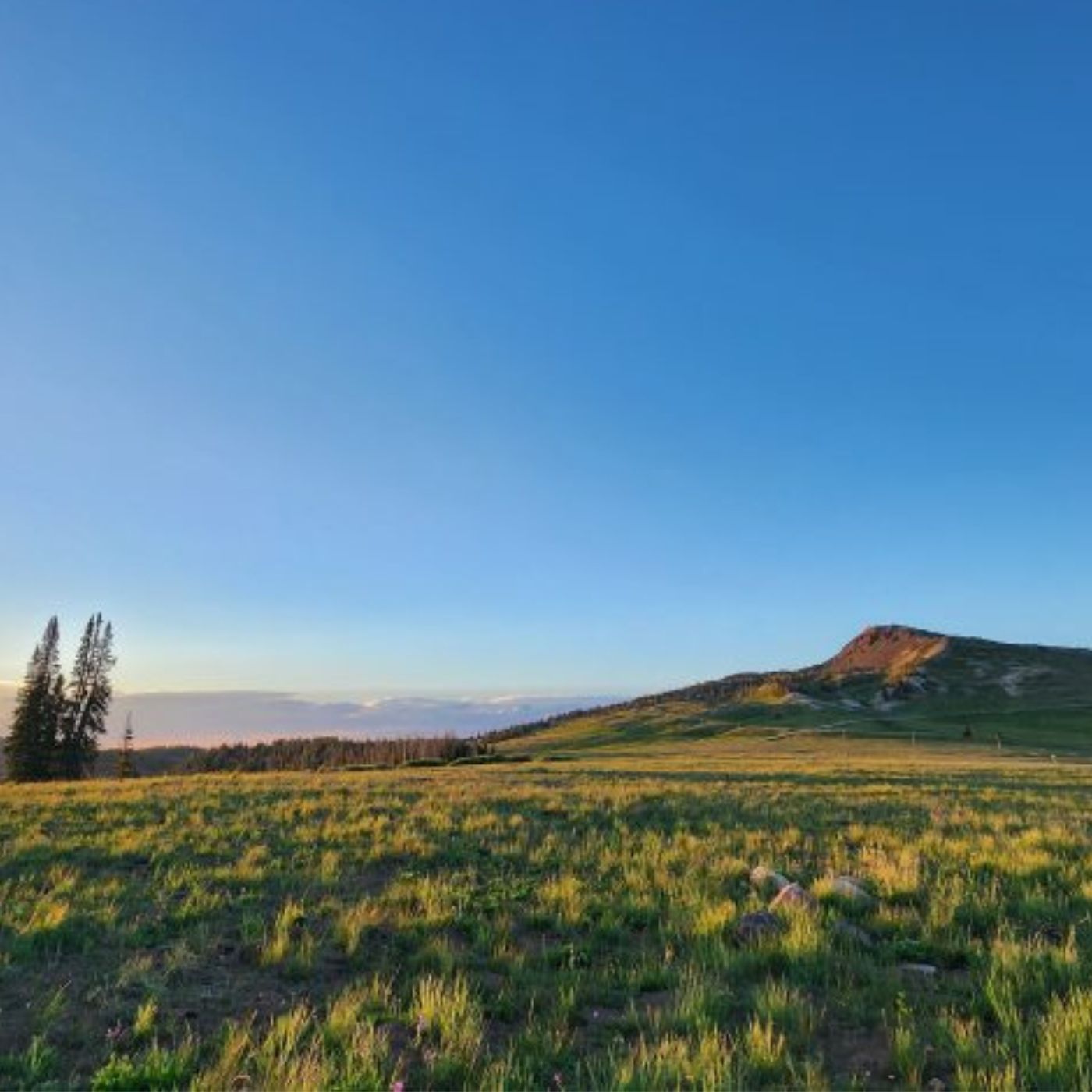 The cost of privatizing public land