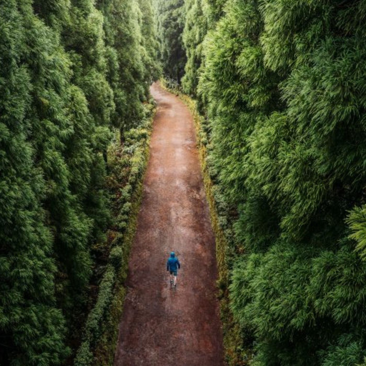 Here’s what to do if you’re lonely