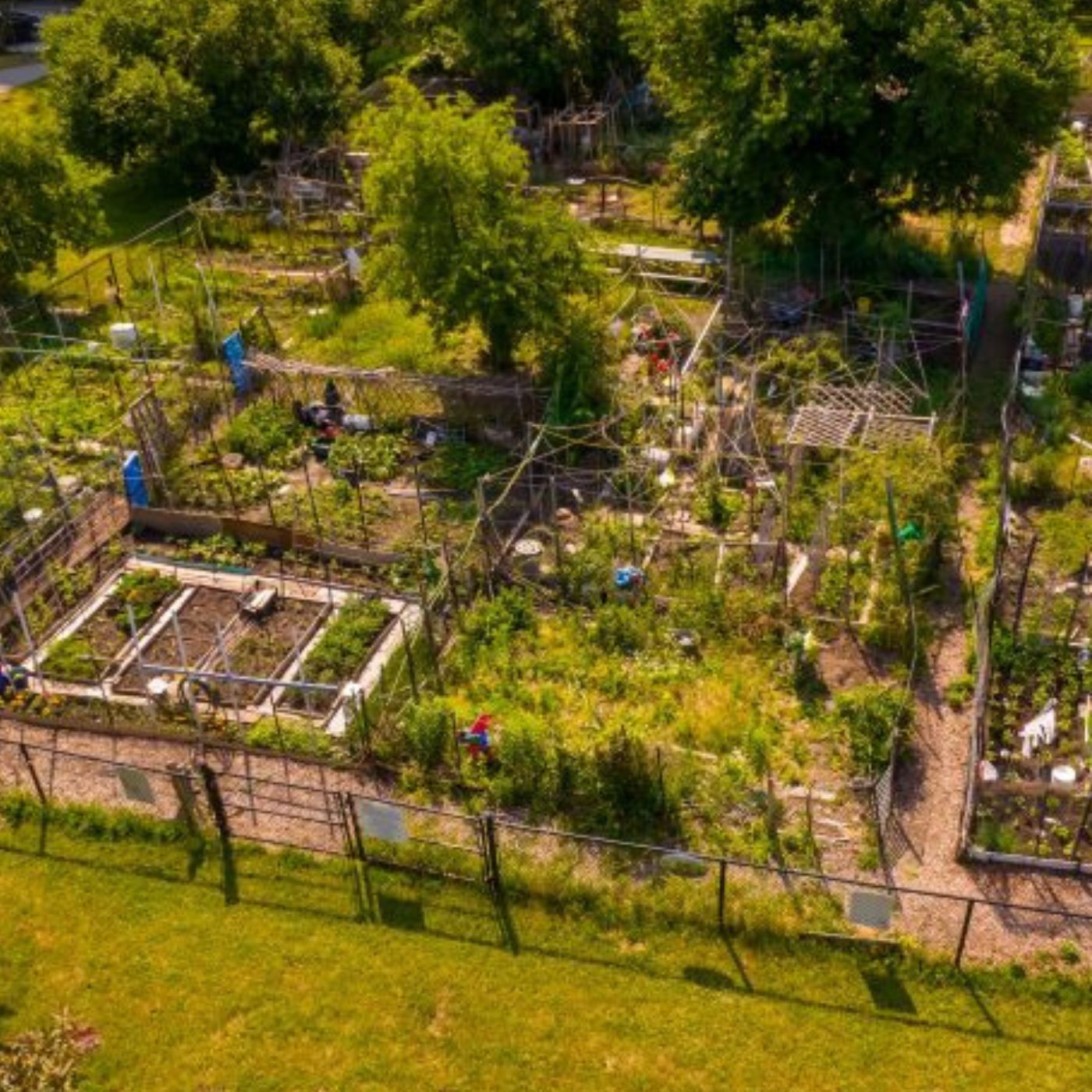 How communities grow