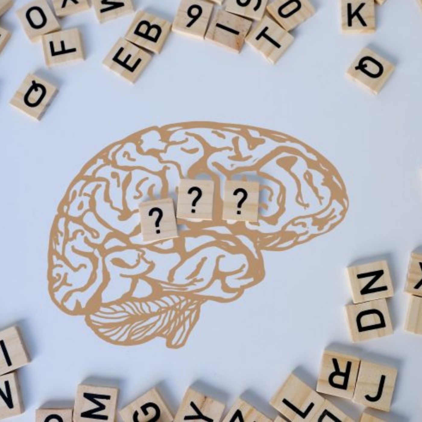 The joy of being a word nerd