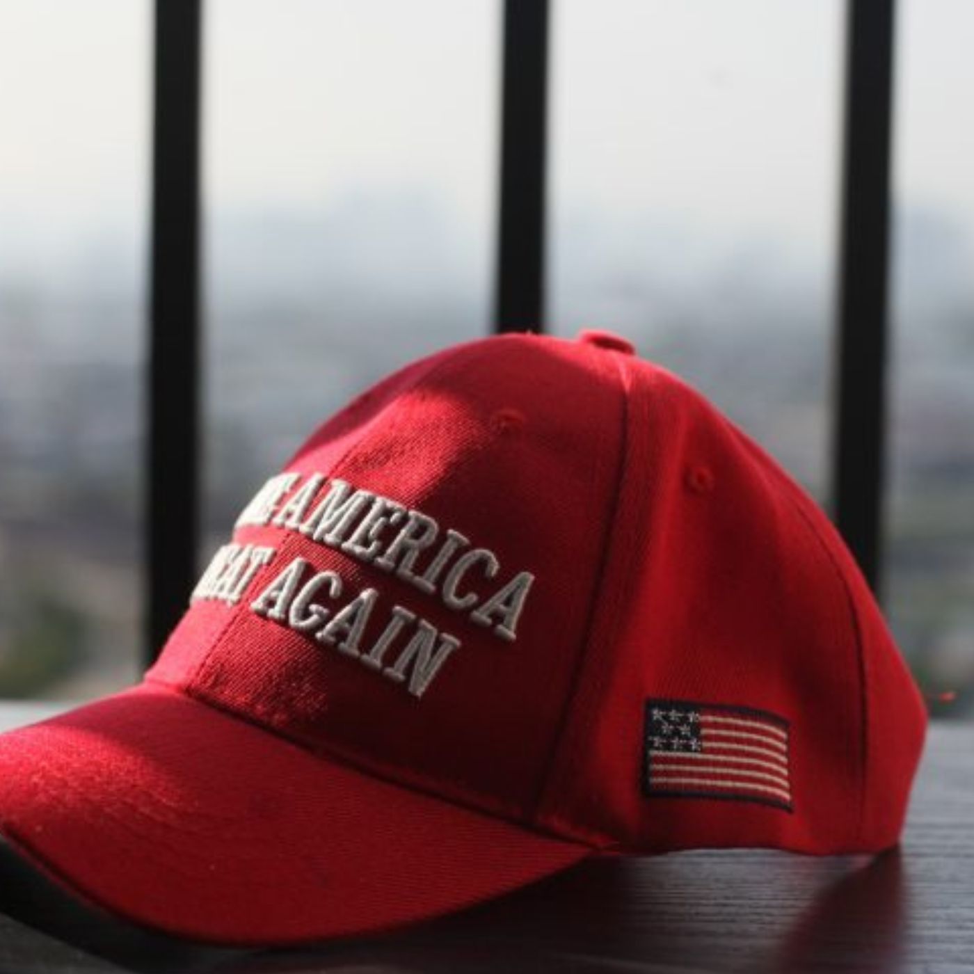 What democrats could learn from MAGA