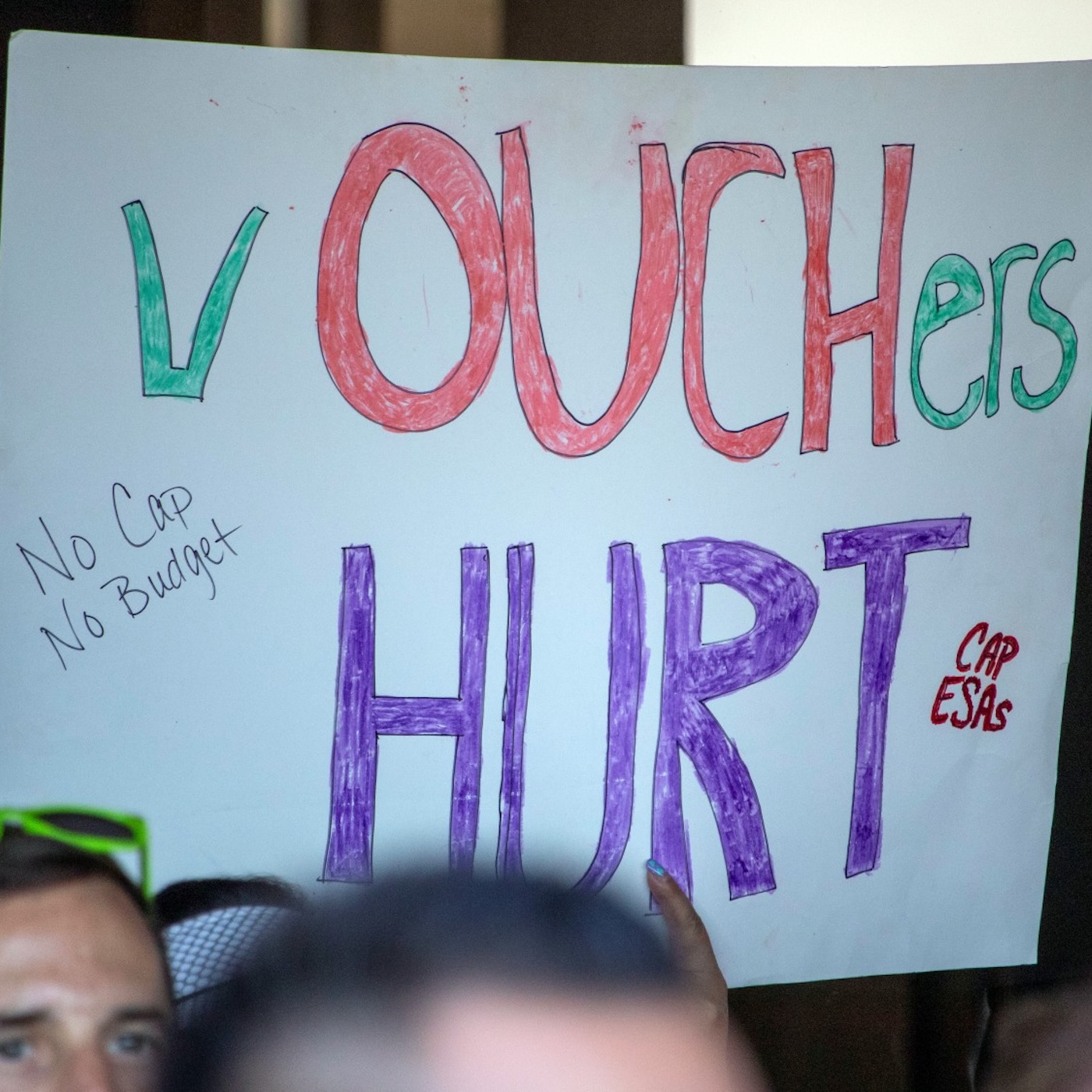 Billionaires and private school vouchers episode artwork