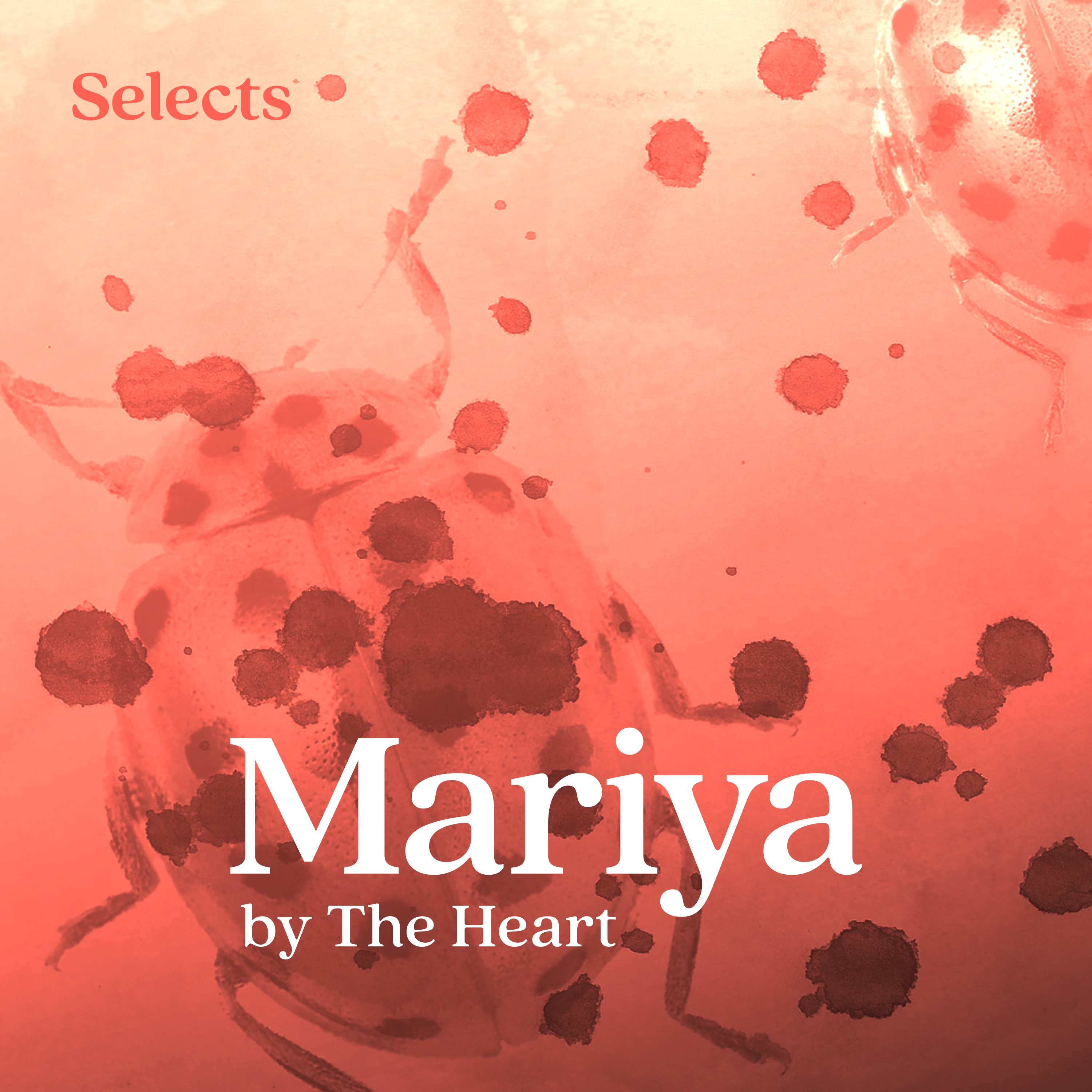 Mariya by The Heart