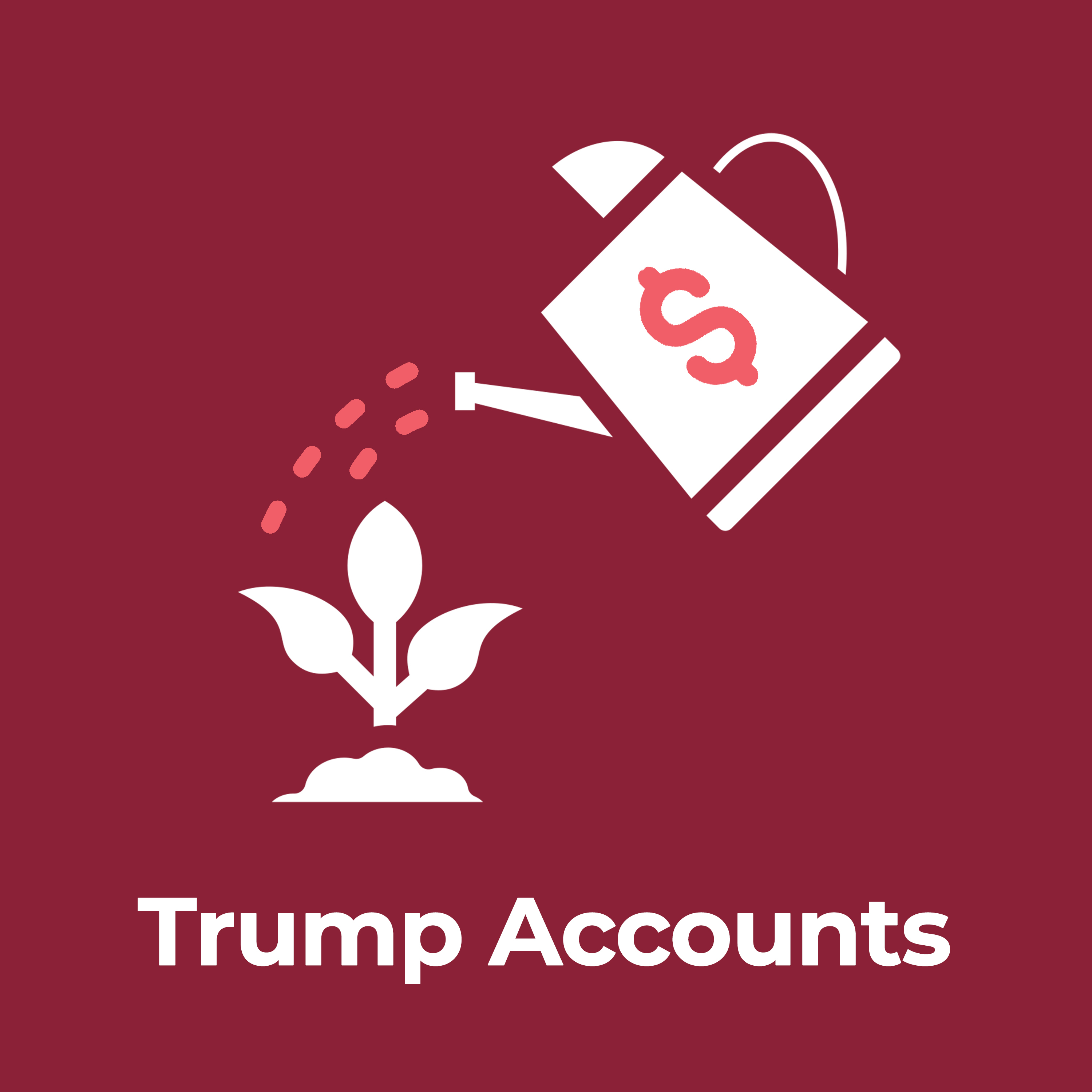 Can $1,000 at Birth Make Us a Country of Savers?