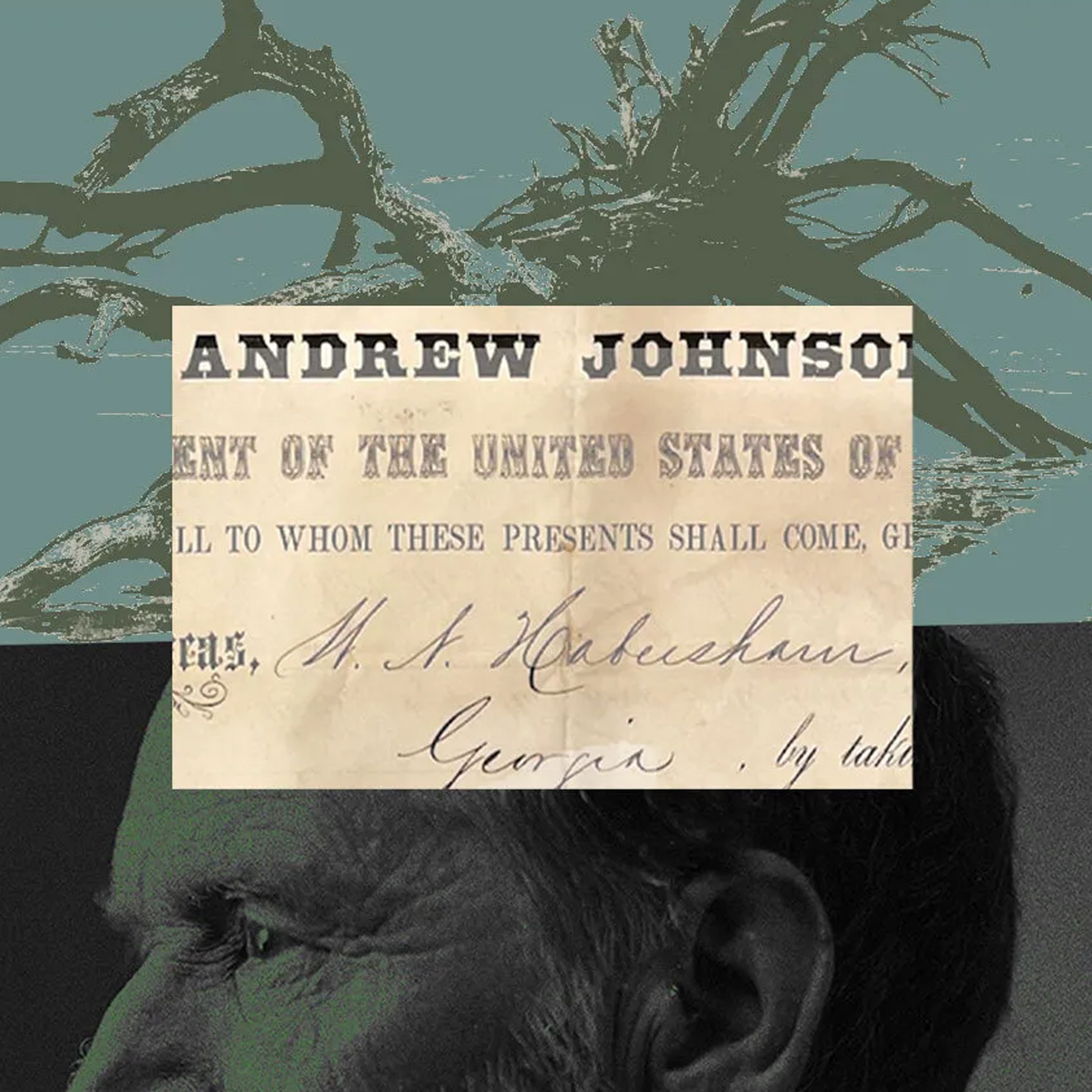 40 Acres and a Lie Part 1 artwork