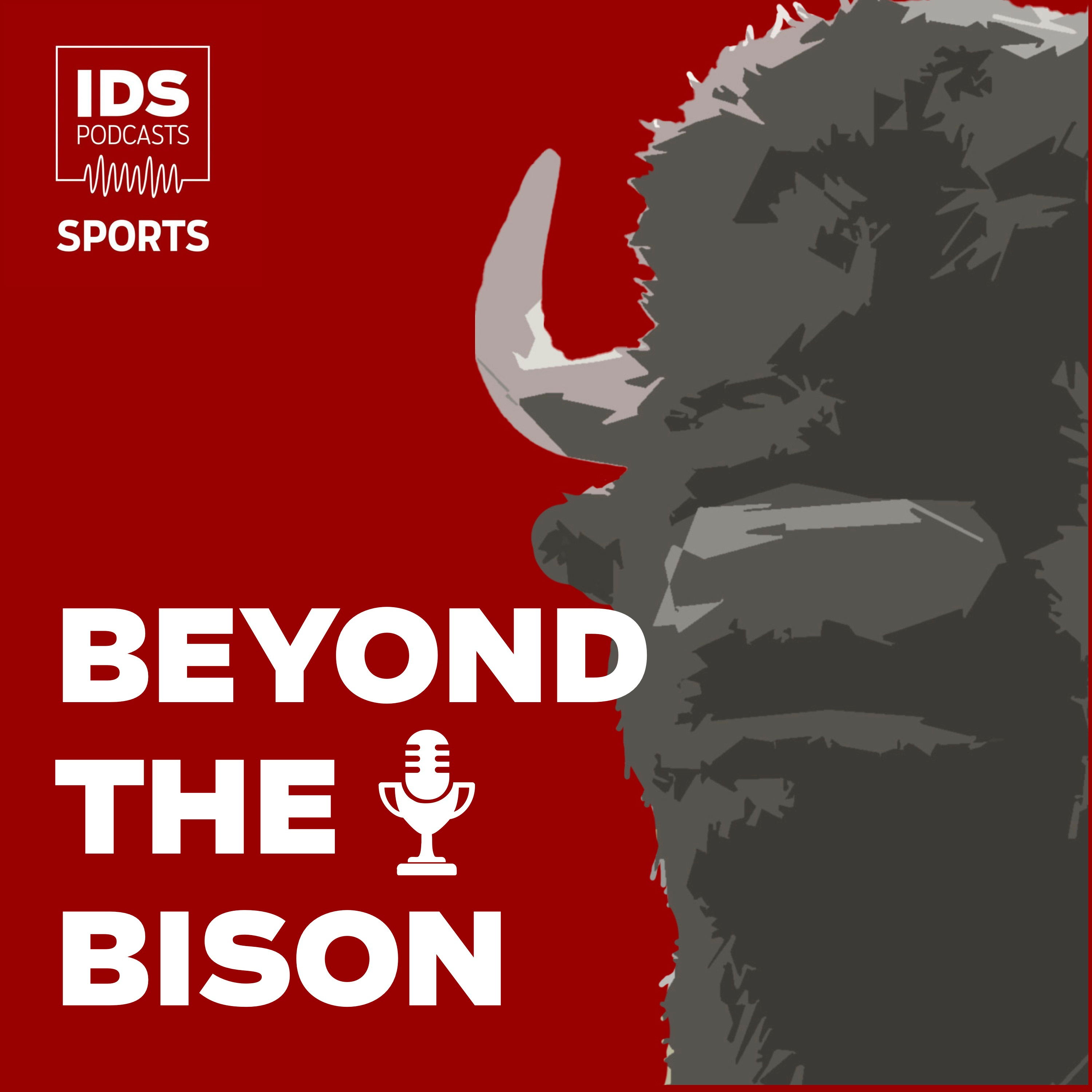 Beyond the Bison