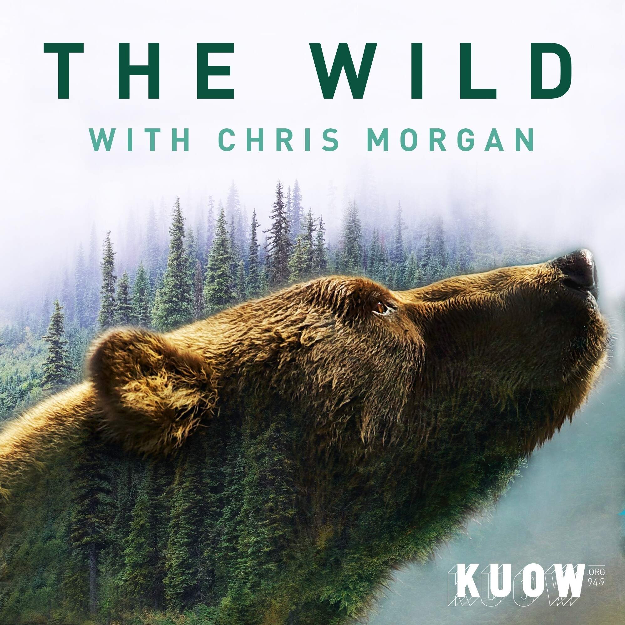 How Wild Presents: The Wild with Chris Morgan