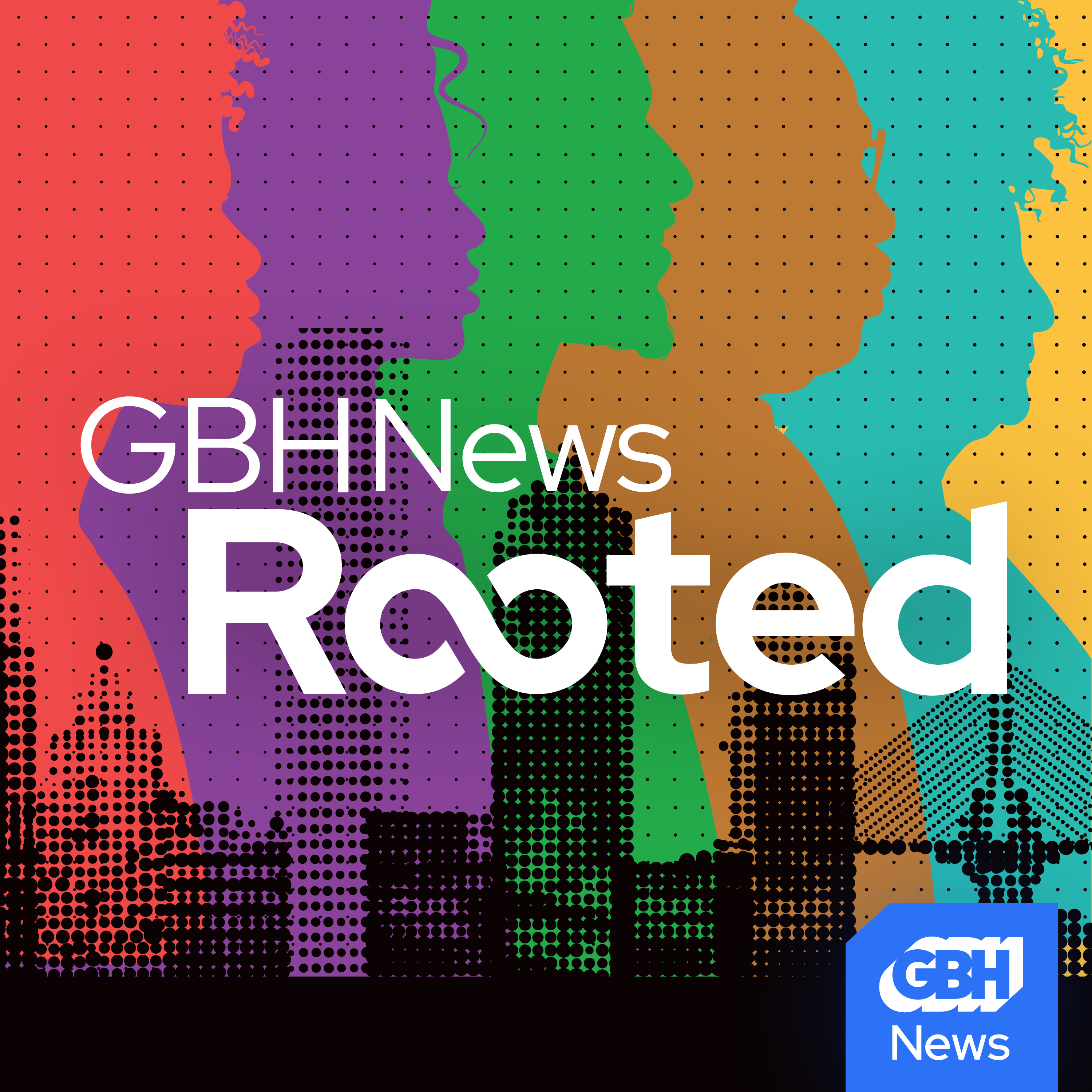 How to make inclusive elder care for the BIPOC LGBTQ+ community? episode artwork