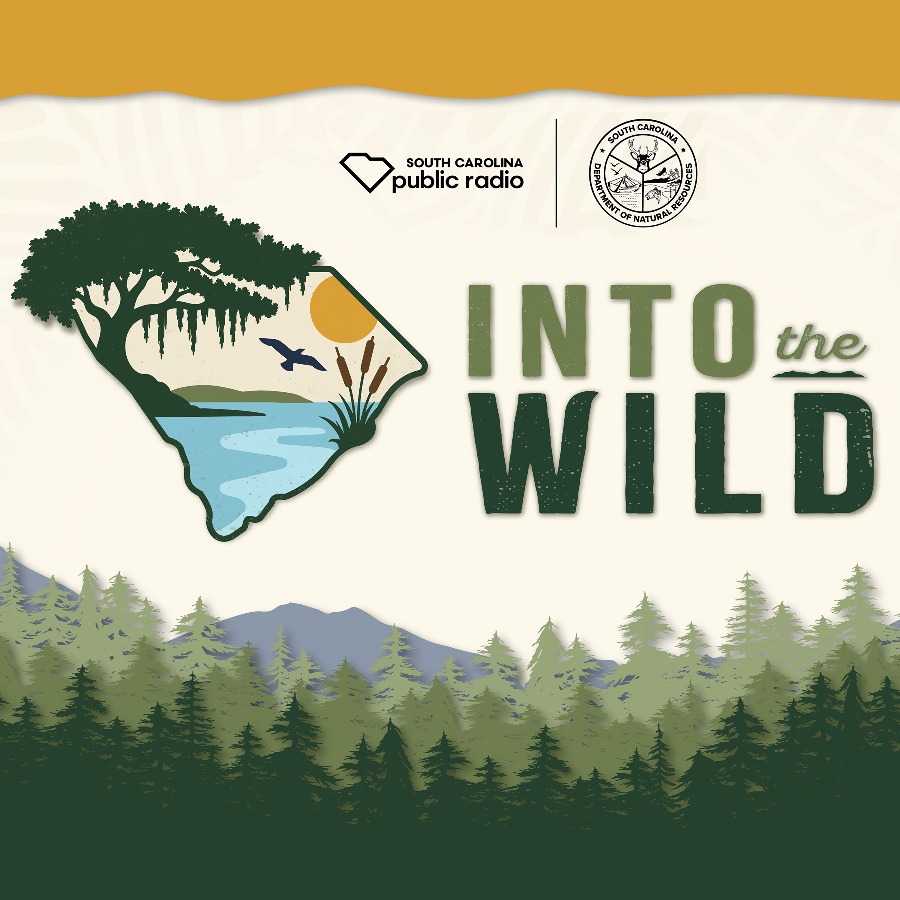 Into the Wild cover art