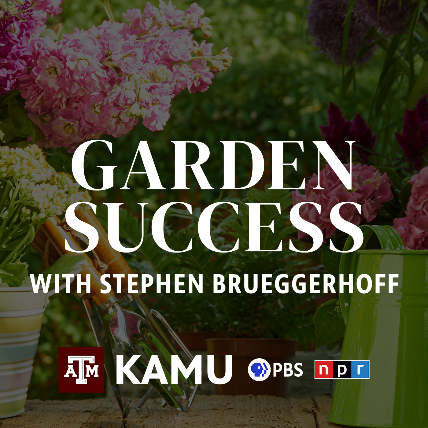 Garden Success with Stephen Brueggerhoff podcast artwork