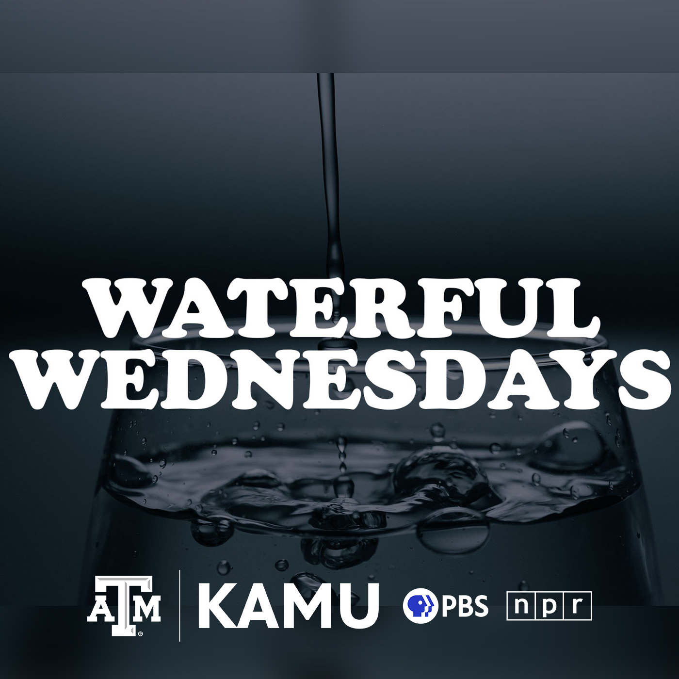 Waterful Wednesdays podcast artwork