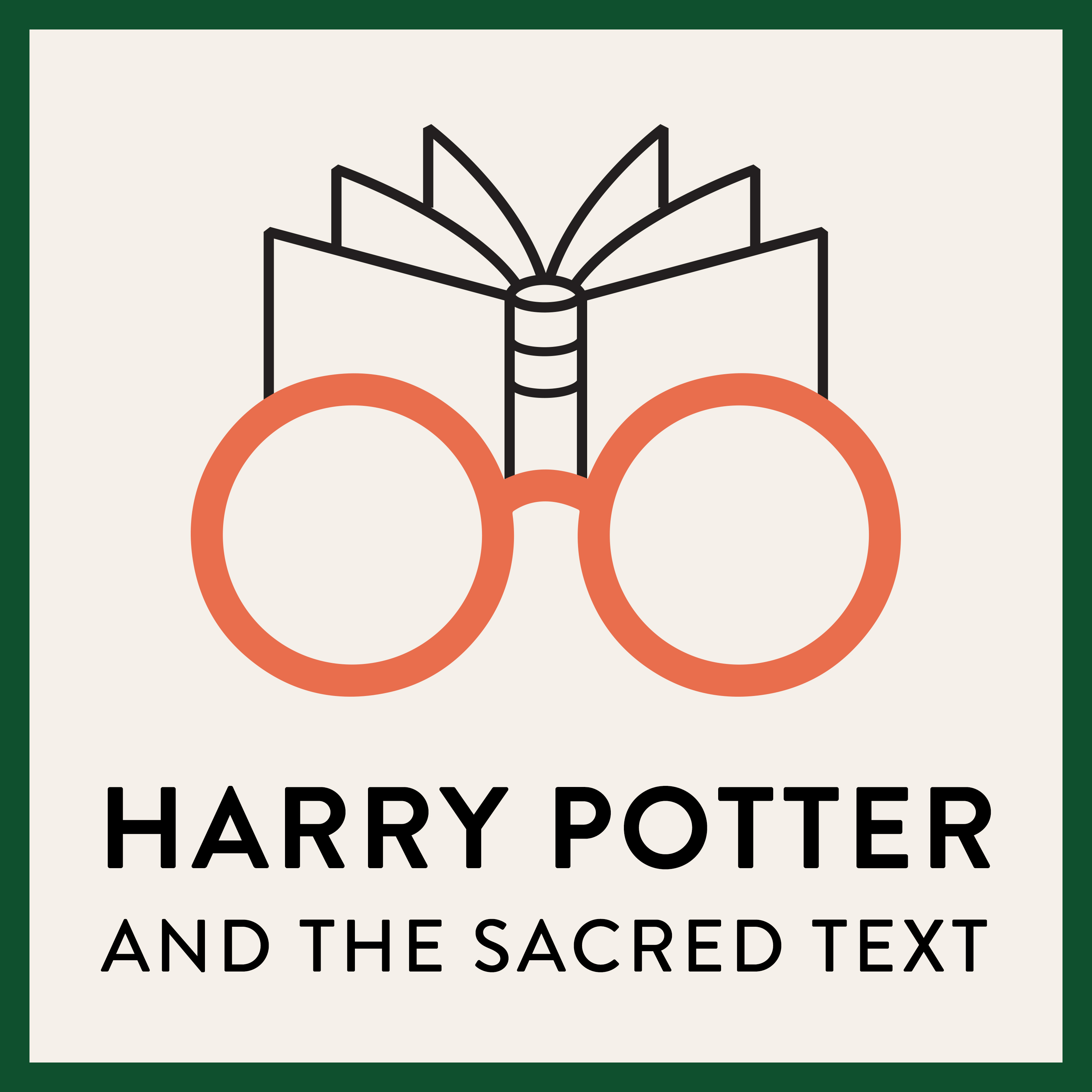 Image result for harry potter and the sacred text