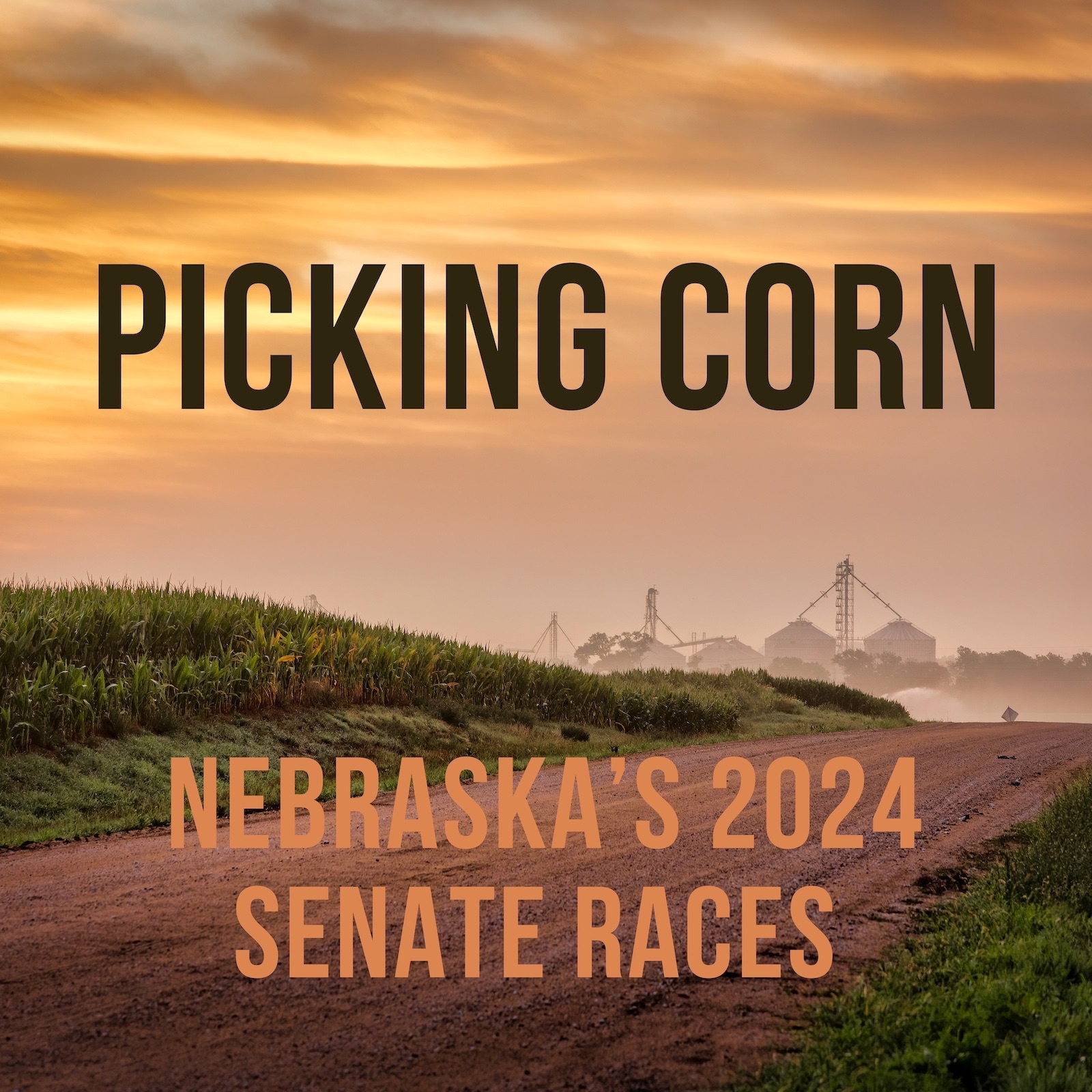 Picking Corn: Nebraska’s 2024 Senate races podcast artwork