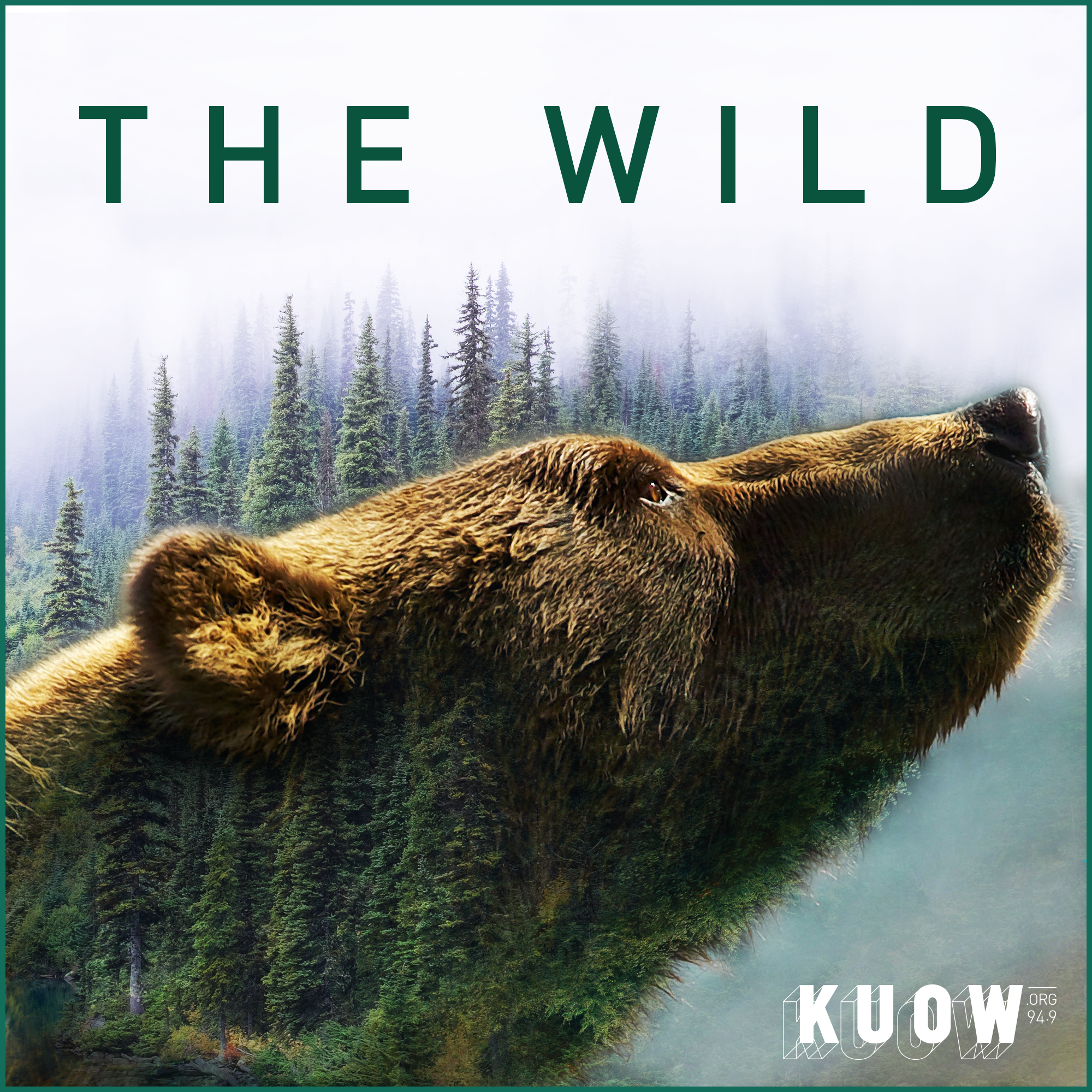 The Wild plus