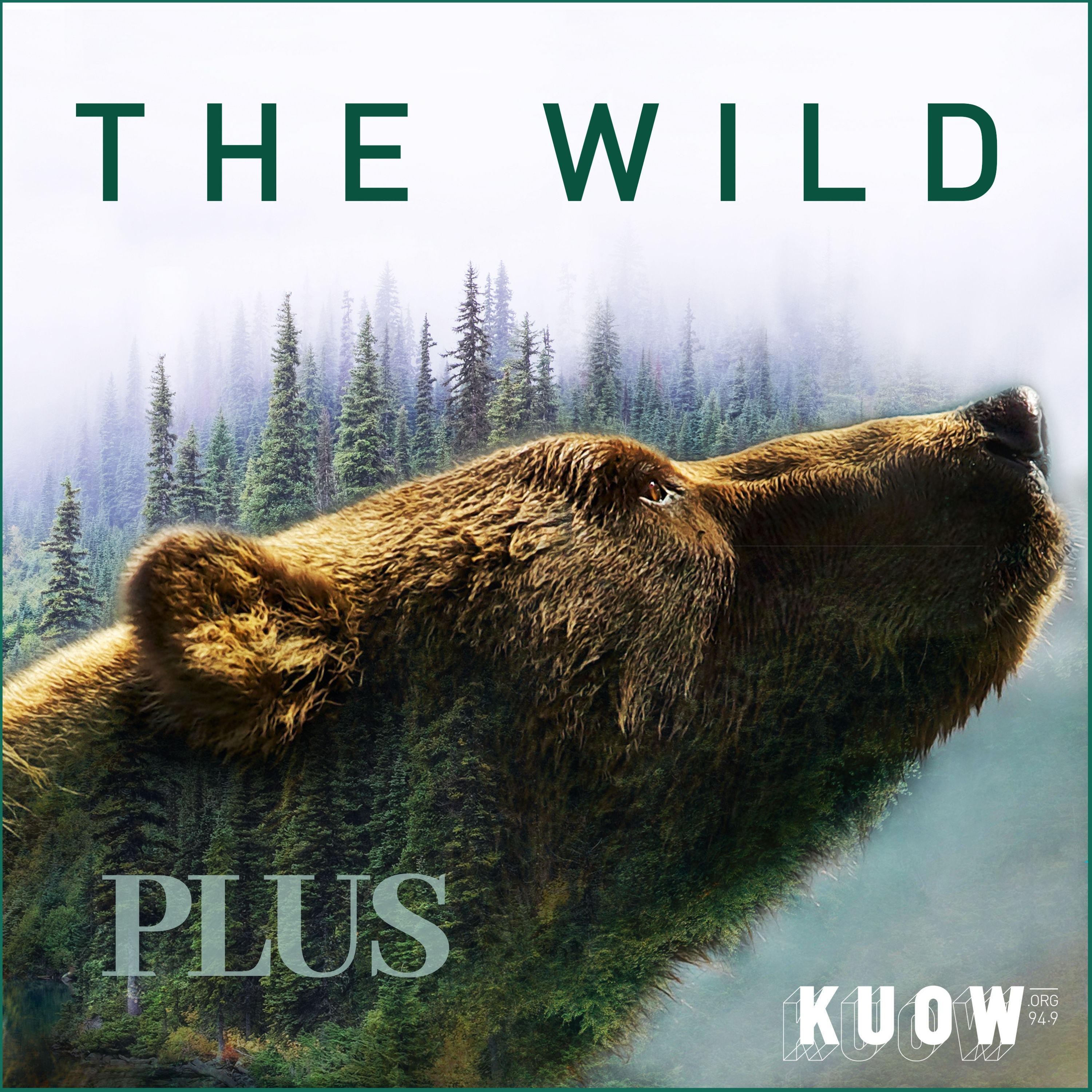 The Wild plus podcast artwork