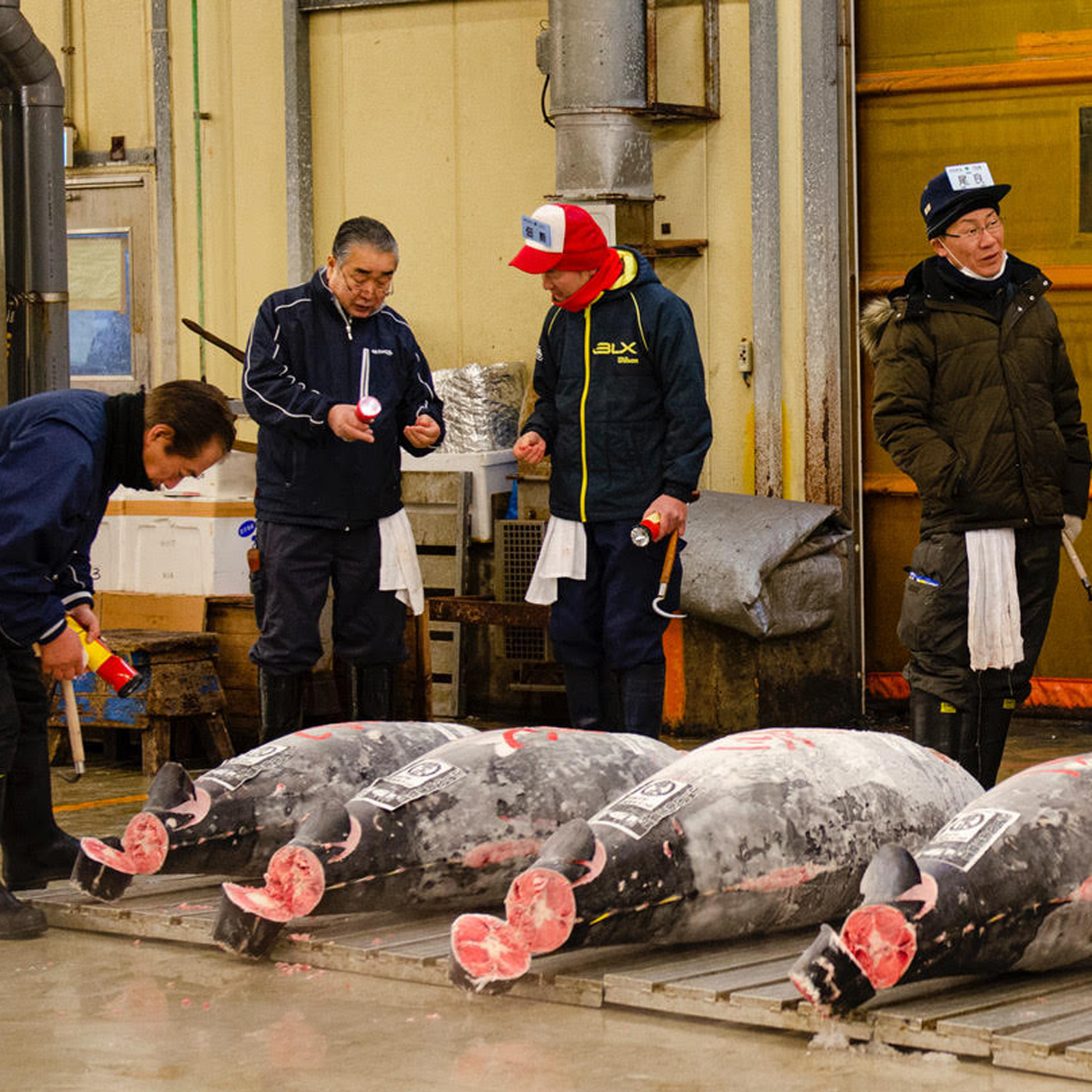 The Largest Fish Market in the World