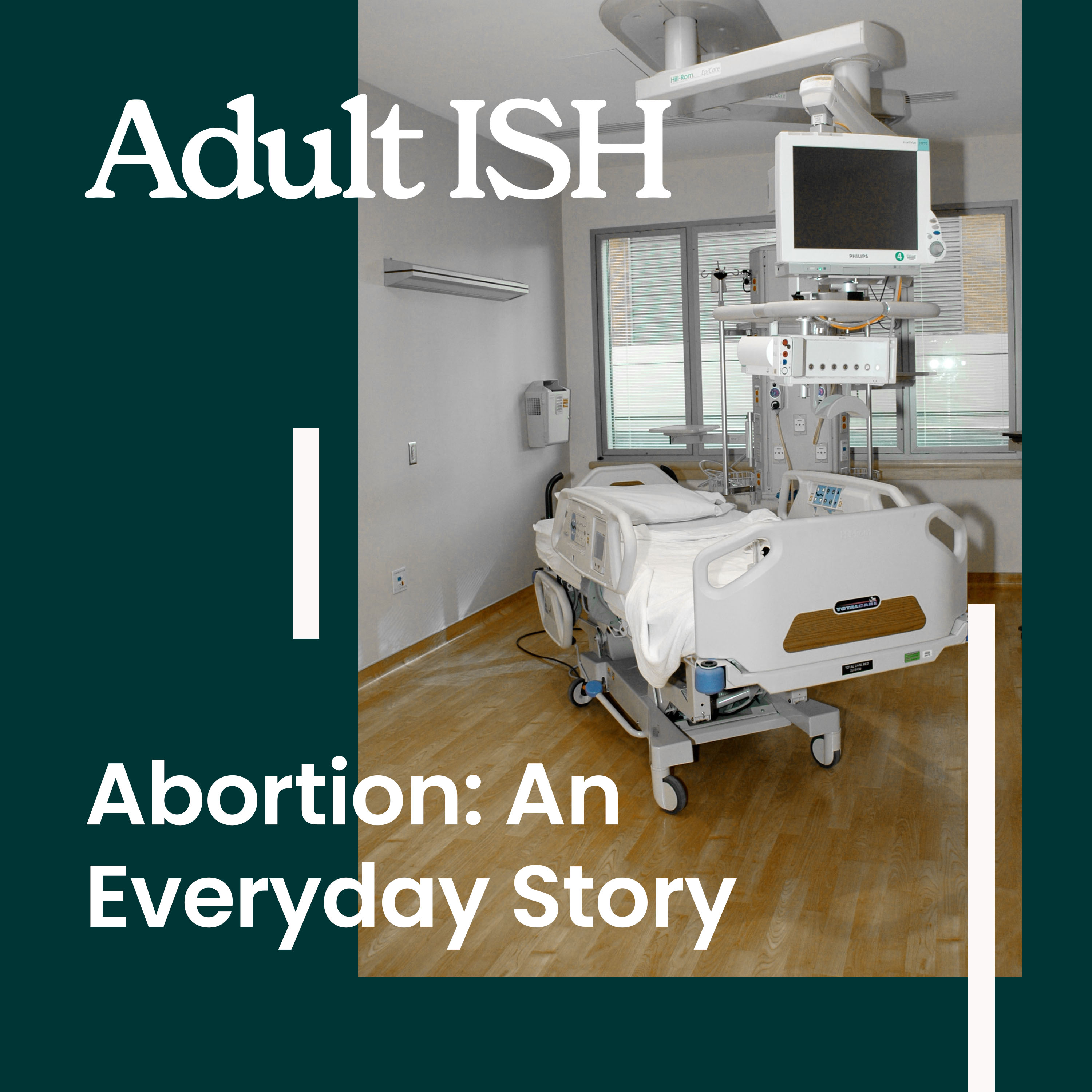 Abortion: An Everyday Story
