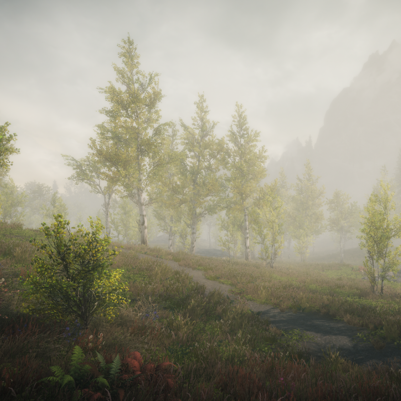 Open Worlds