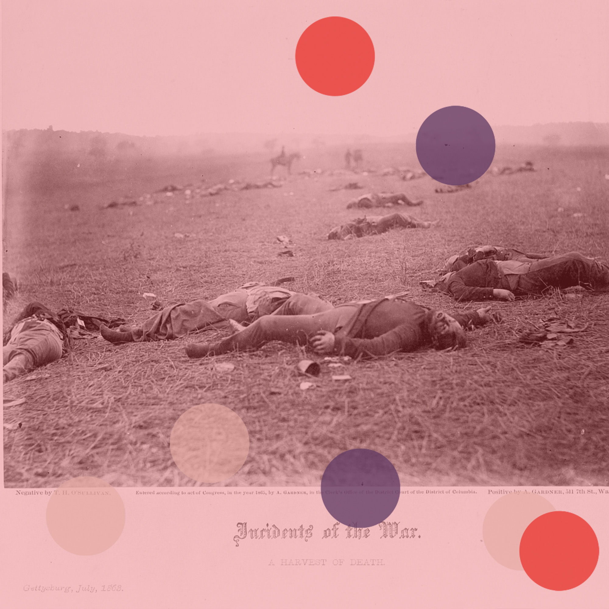 'A Harvest Of Death' And The Power Of Photography (1863) w/ Robert Sullivan