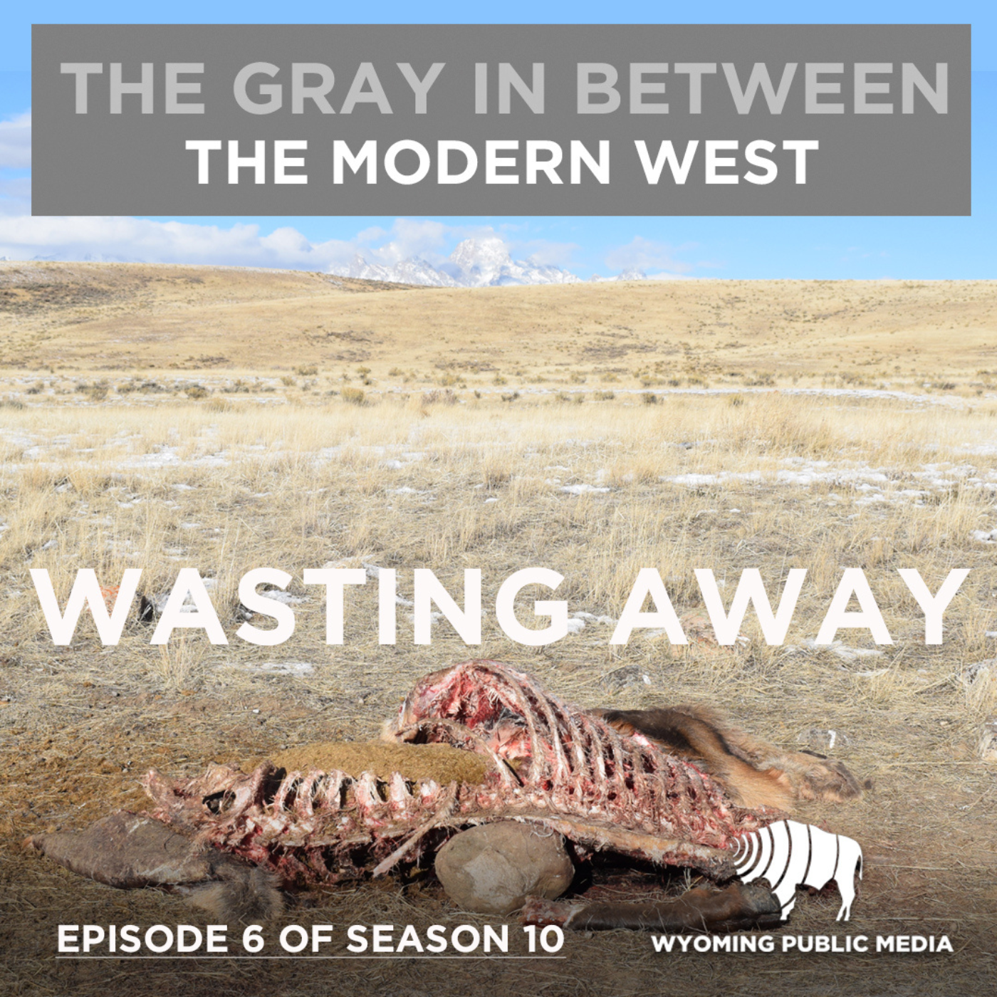 Wasting Away