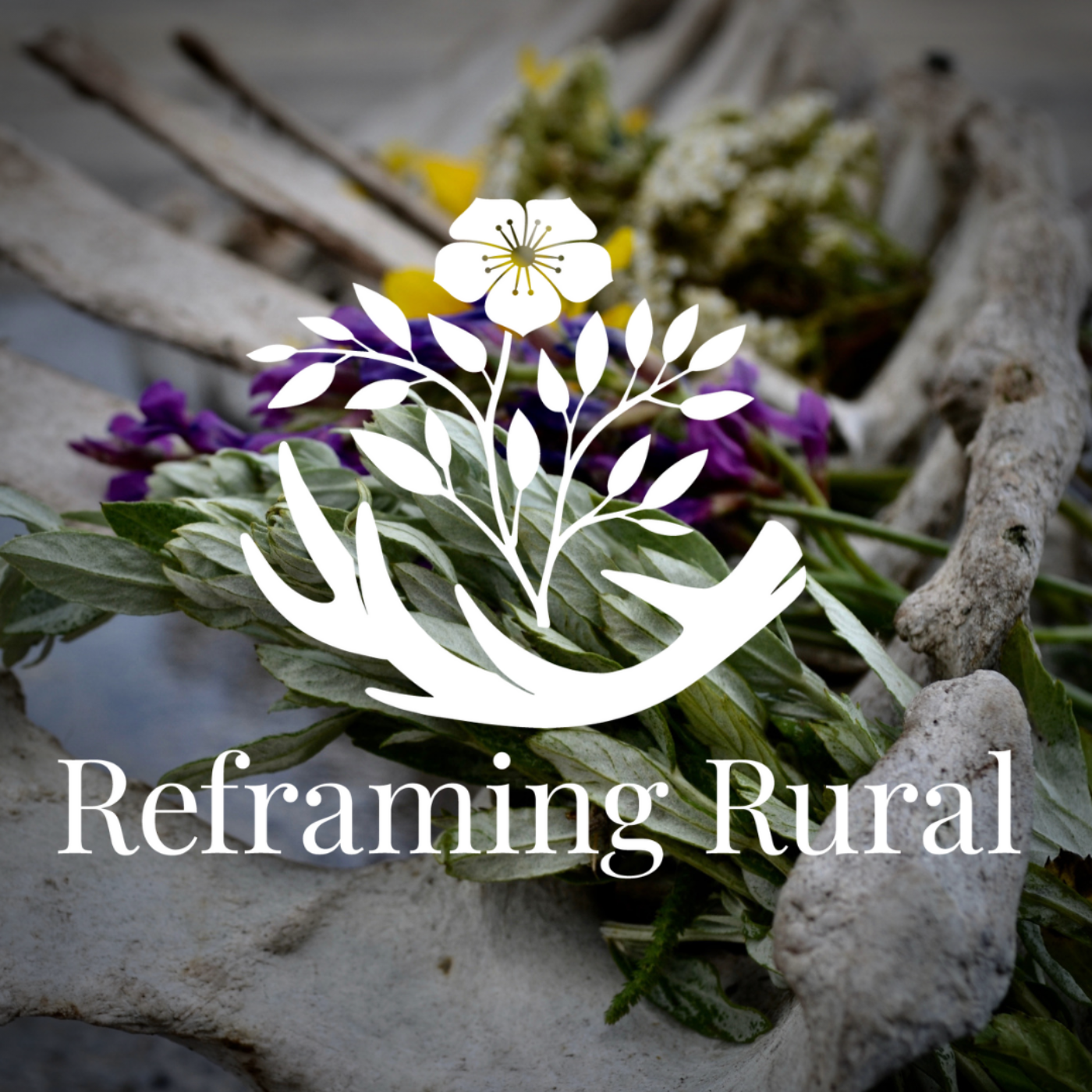 Bonus: Reframing Rural